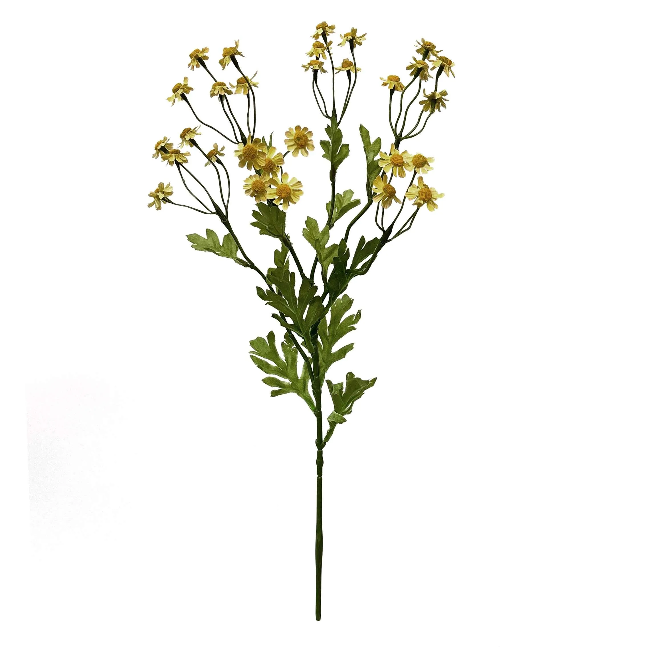 Uma pequena margarida