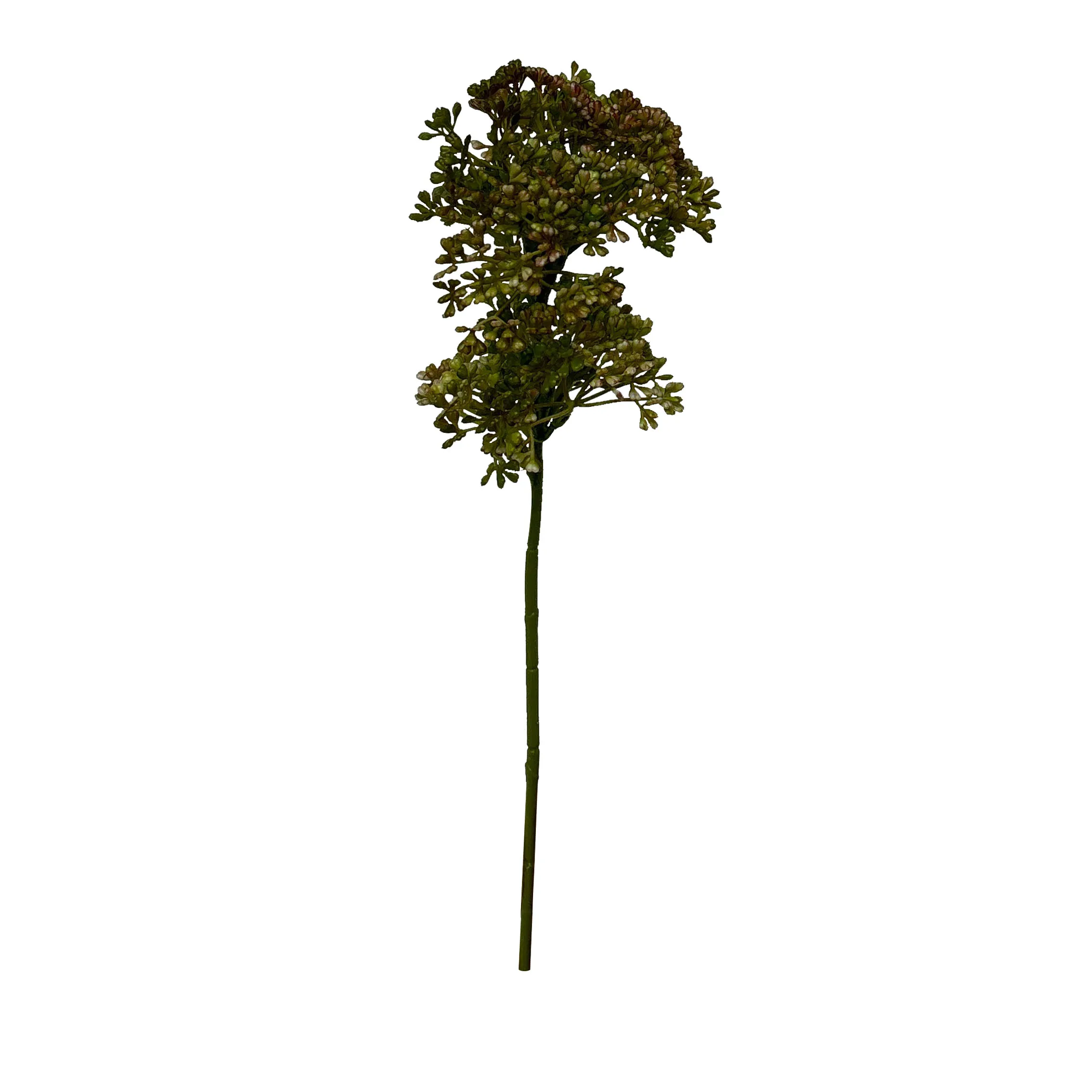 Amendoim