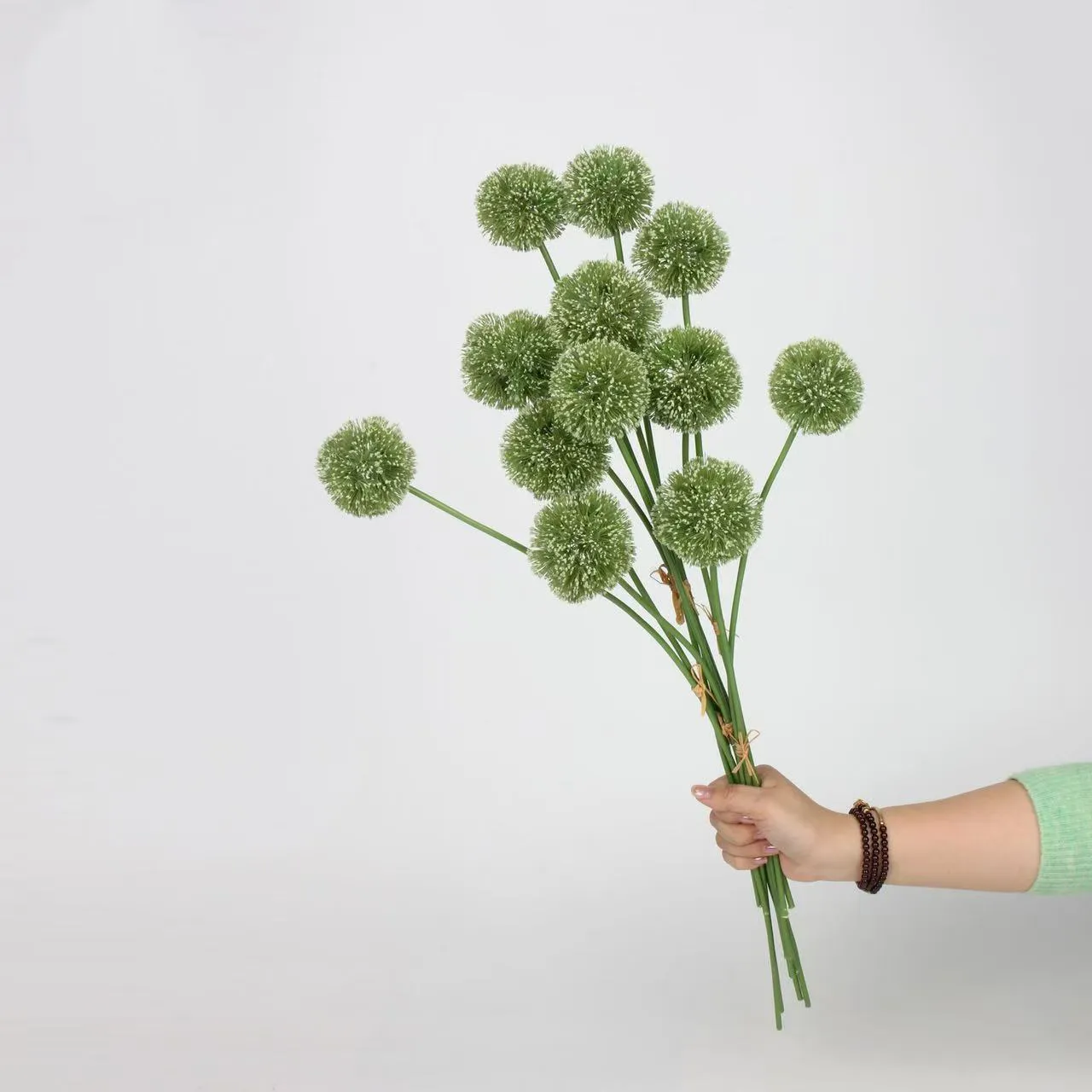 Allium giganteum