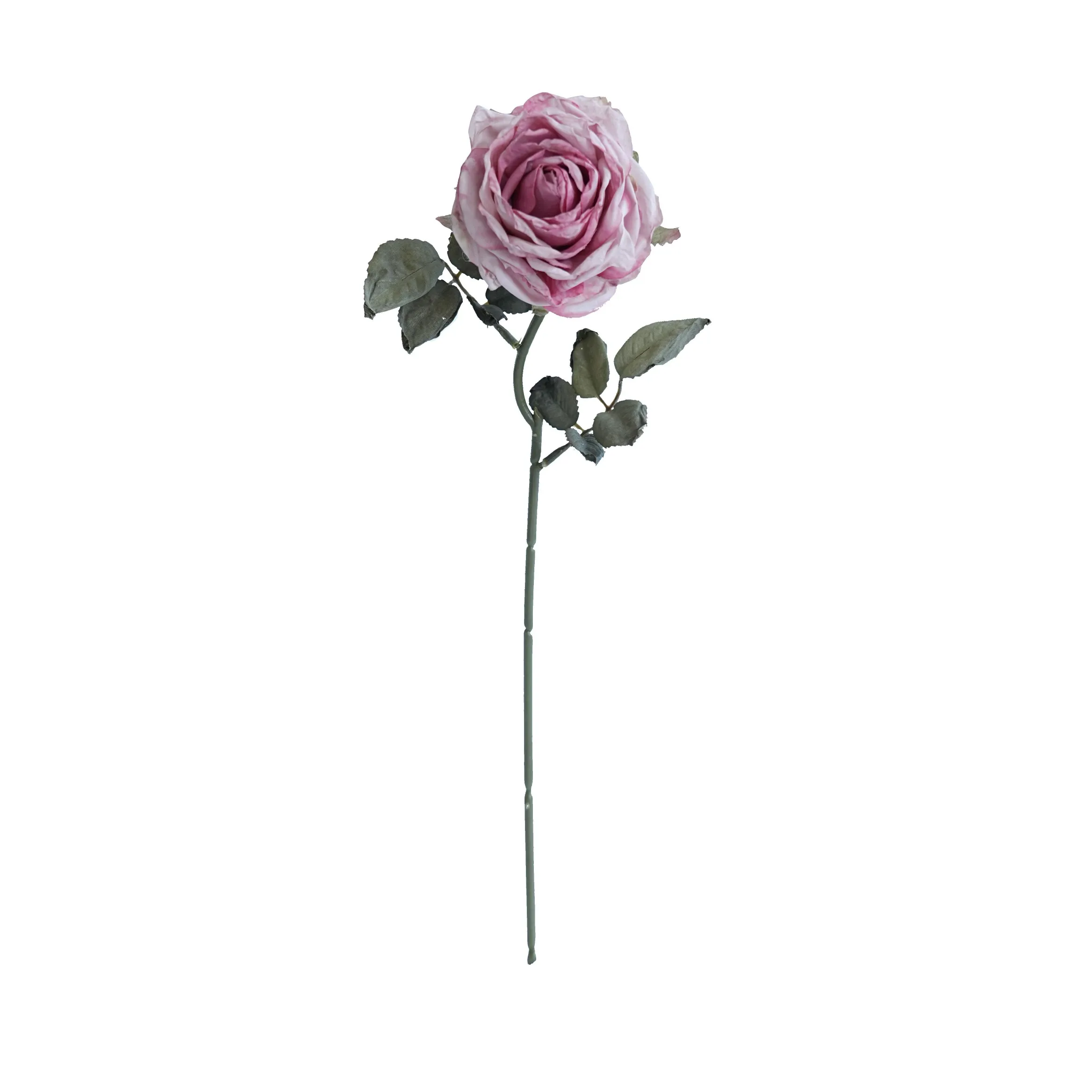 Rosas multicamadas com cor de cortiça