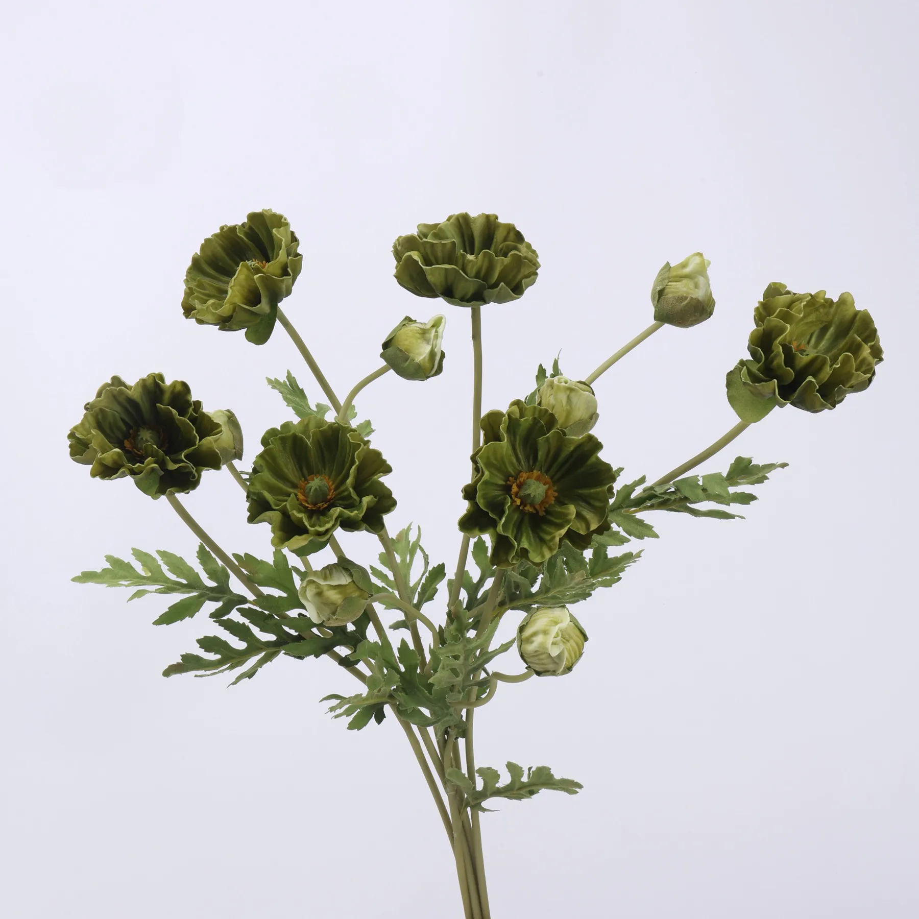 poppy de milho