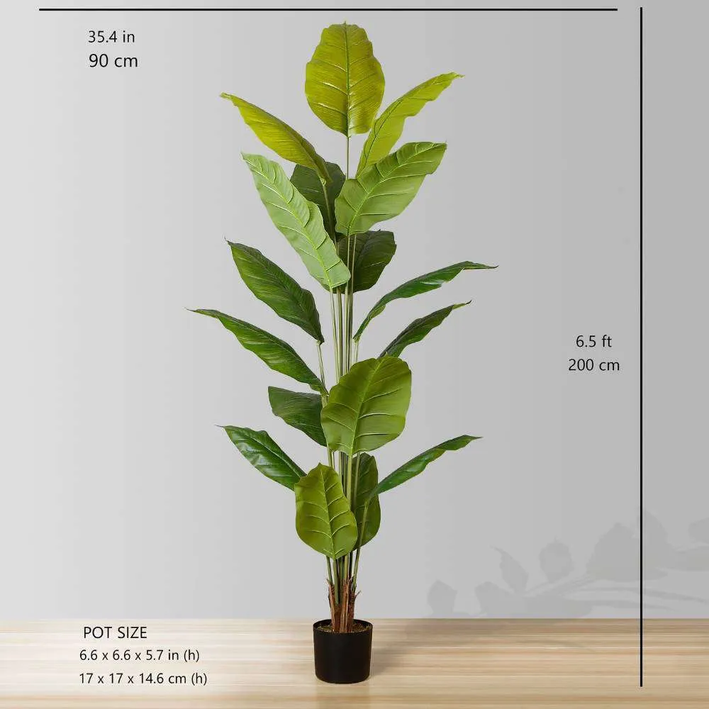Planta artificial de folhas de folhas Spathiphyllum (múltiplos tamanhos)