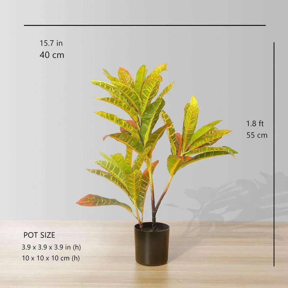 Crotons artificiais em vasos