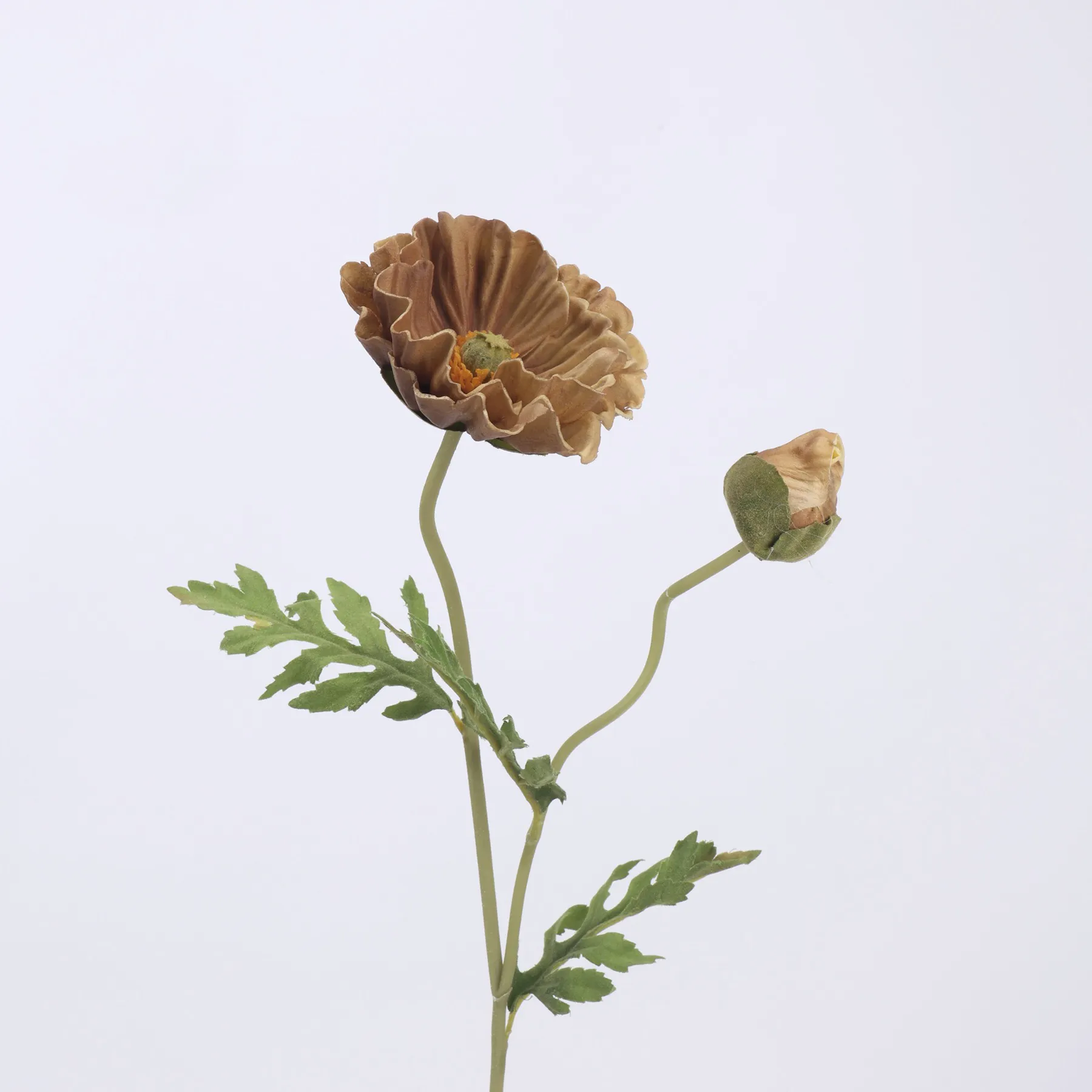 poppy de milho