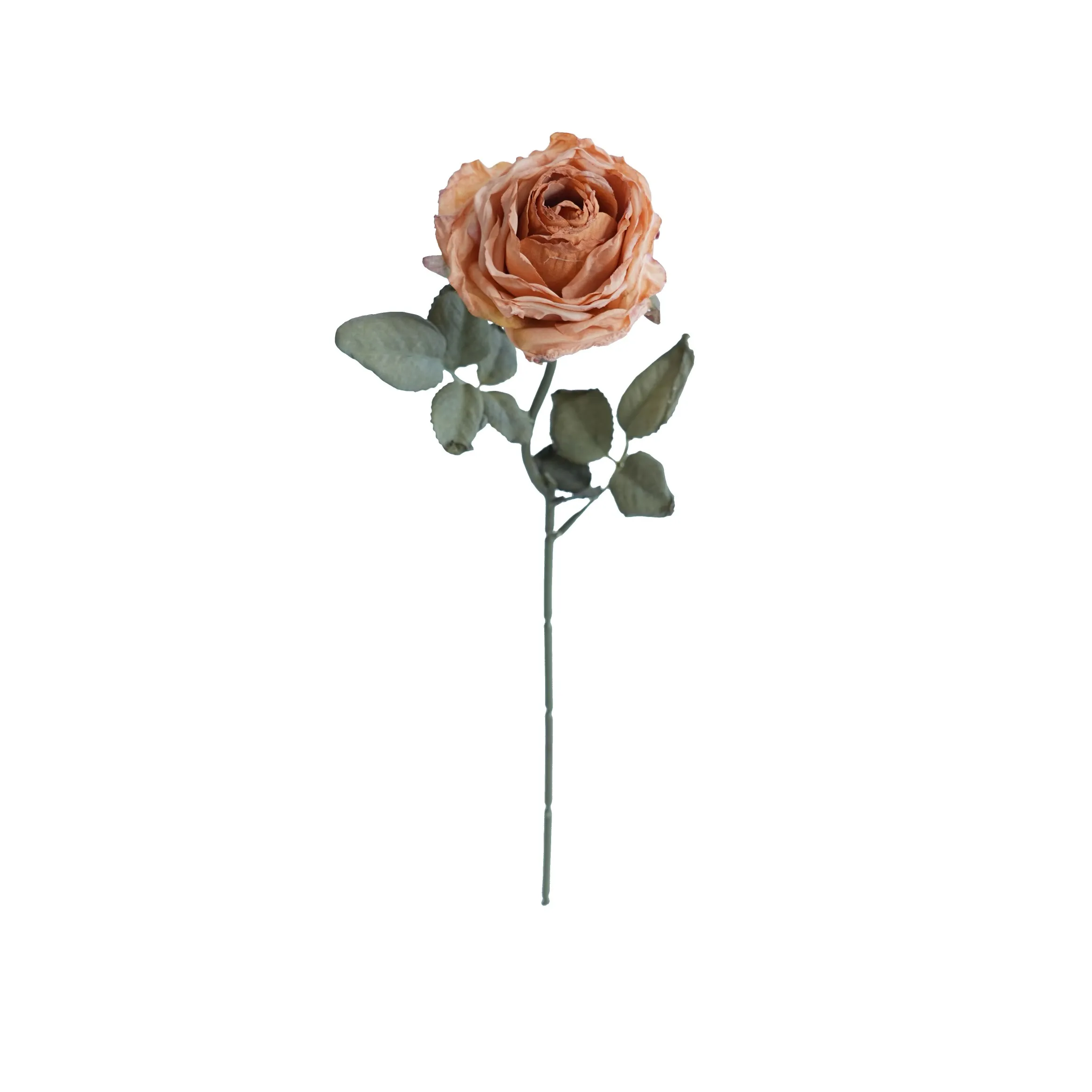 Rosas multicamadas com cor de cortiça
