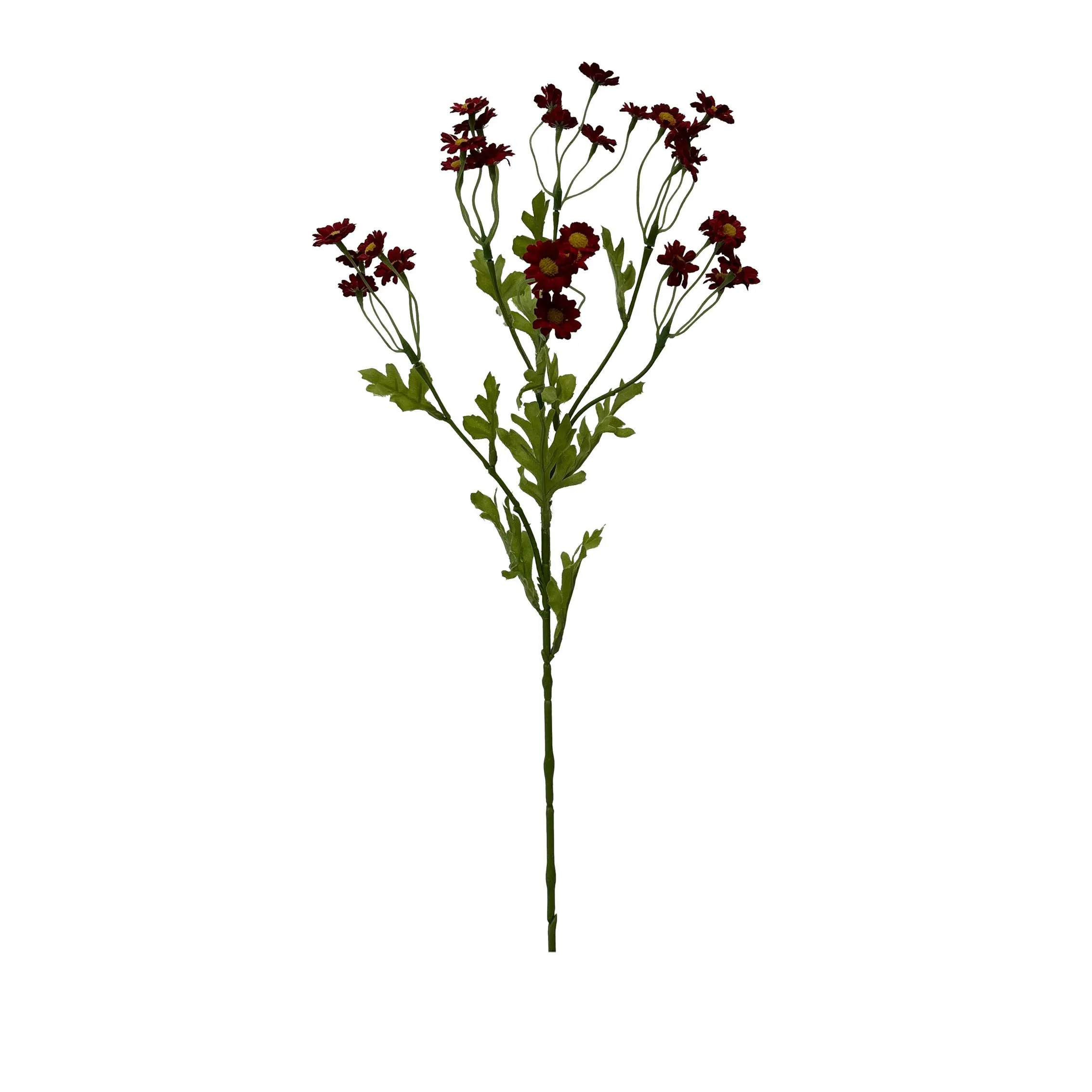 Uma única porção de Chamomile