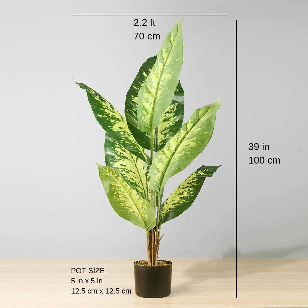 Planta em vasos de sempre -verde artificial
