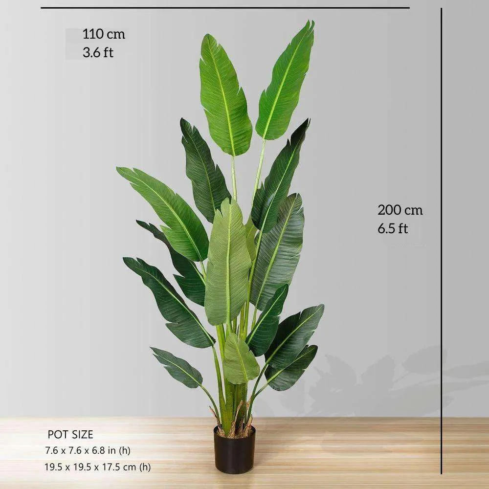 Pássura artificial do paraíso Planta em vasos (múltiplos tamanhos)