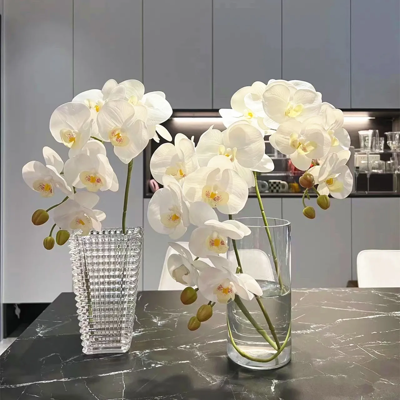 Orquídea Phalaenopsis