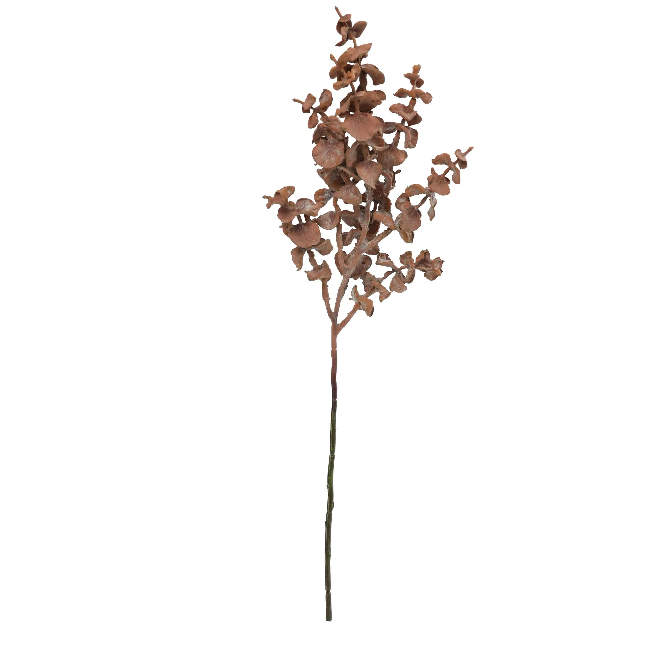 Uma única folha de moeda de cobre