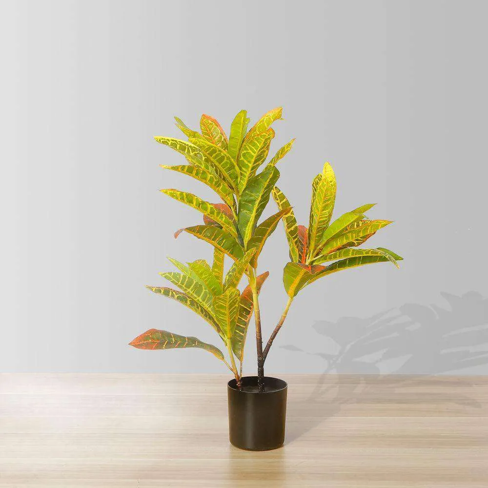 Crotons artificiais em vasos