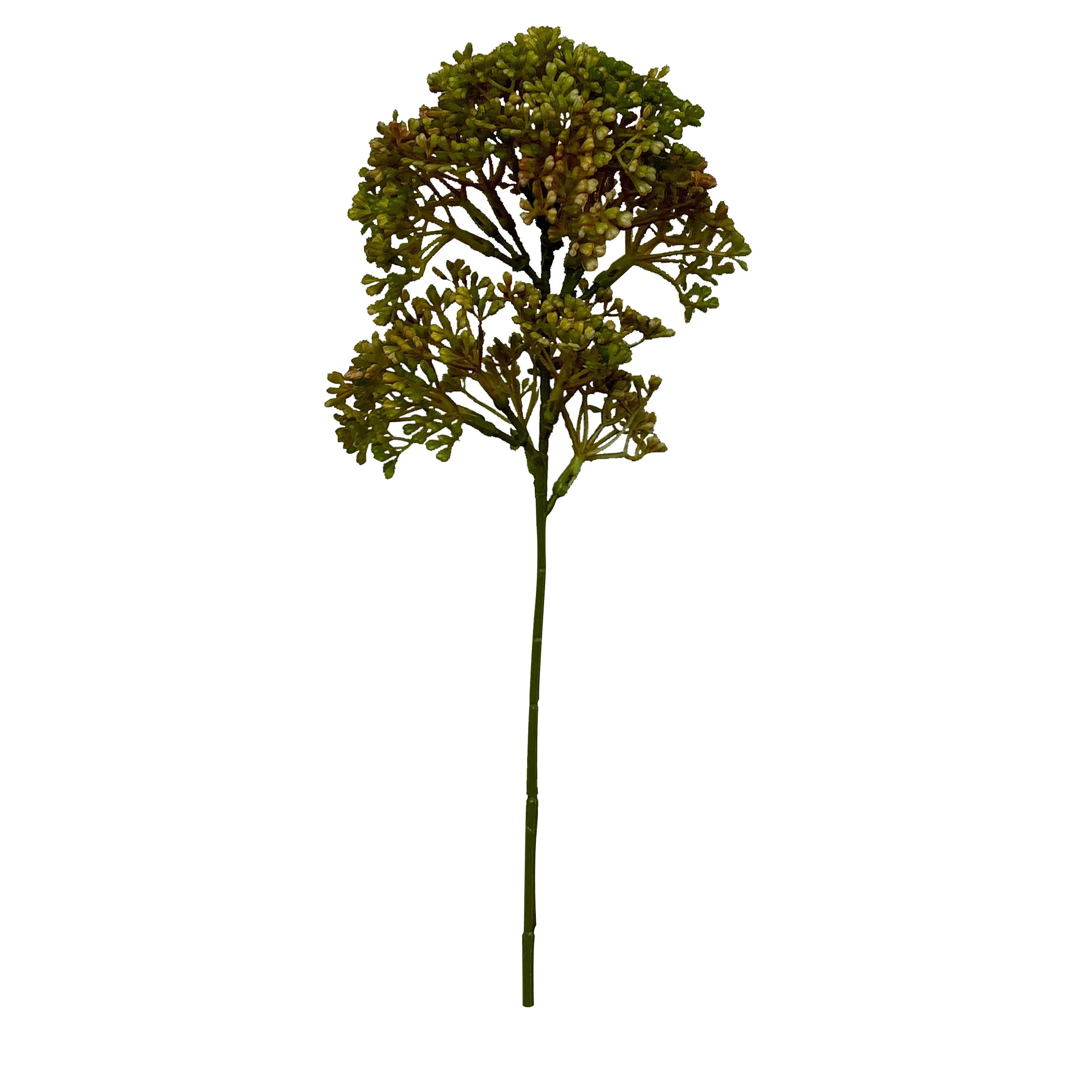 Amendoim