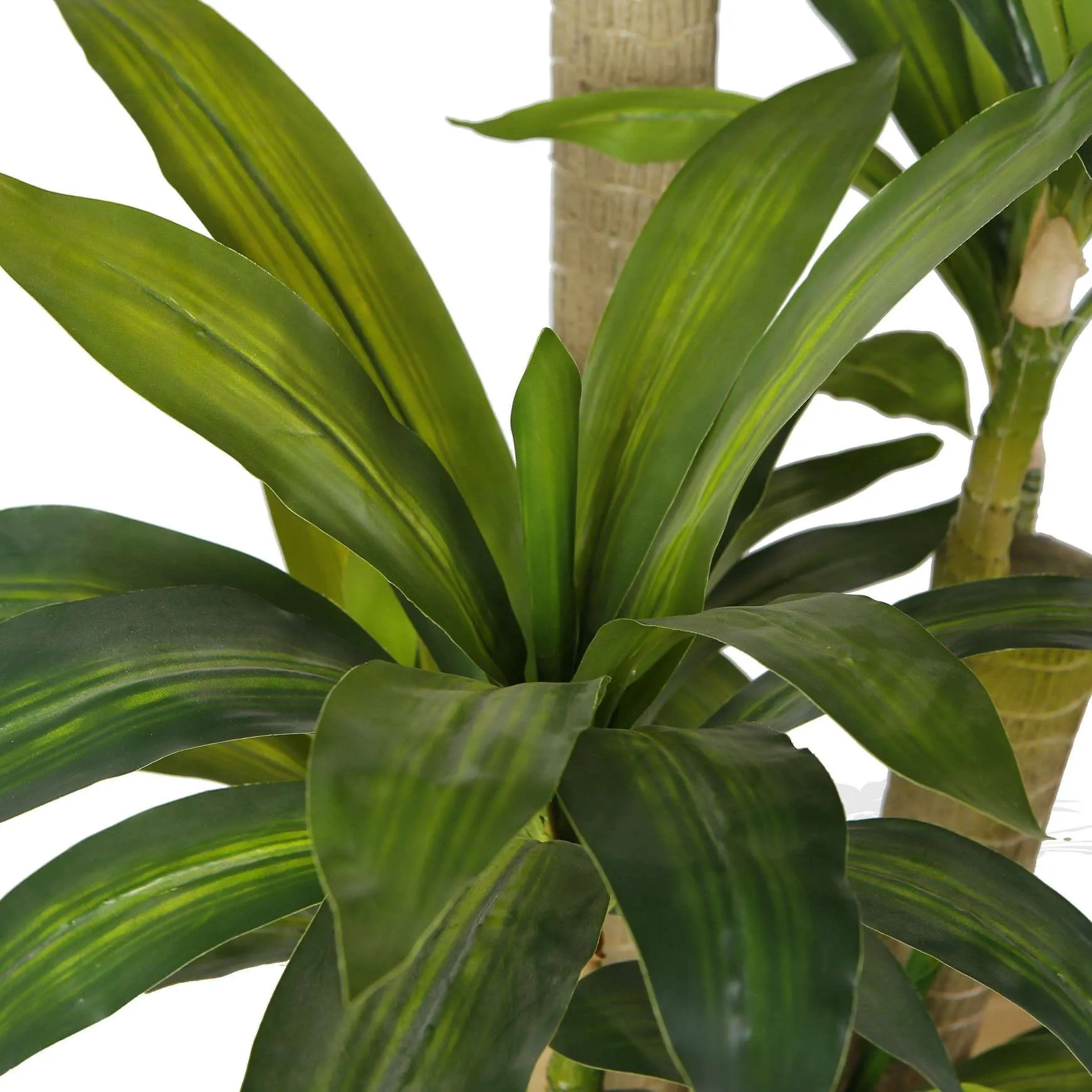 Planta artificial em vasos de árvore draecena (múltiplos tamanhos)