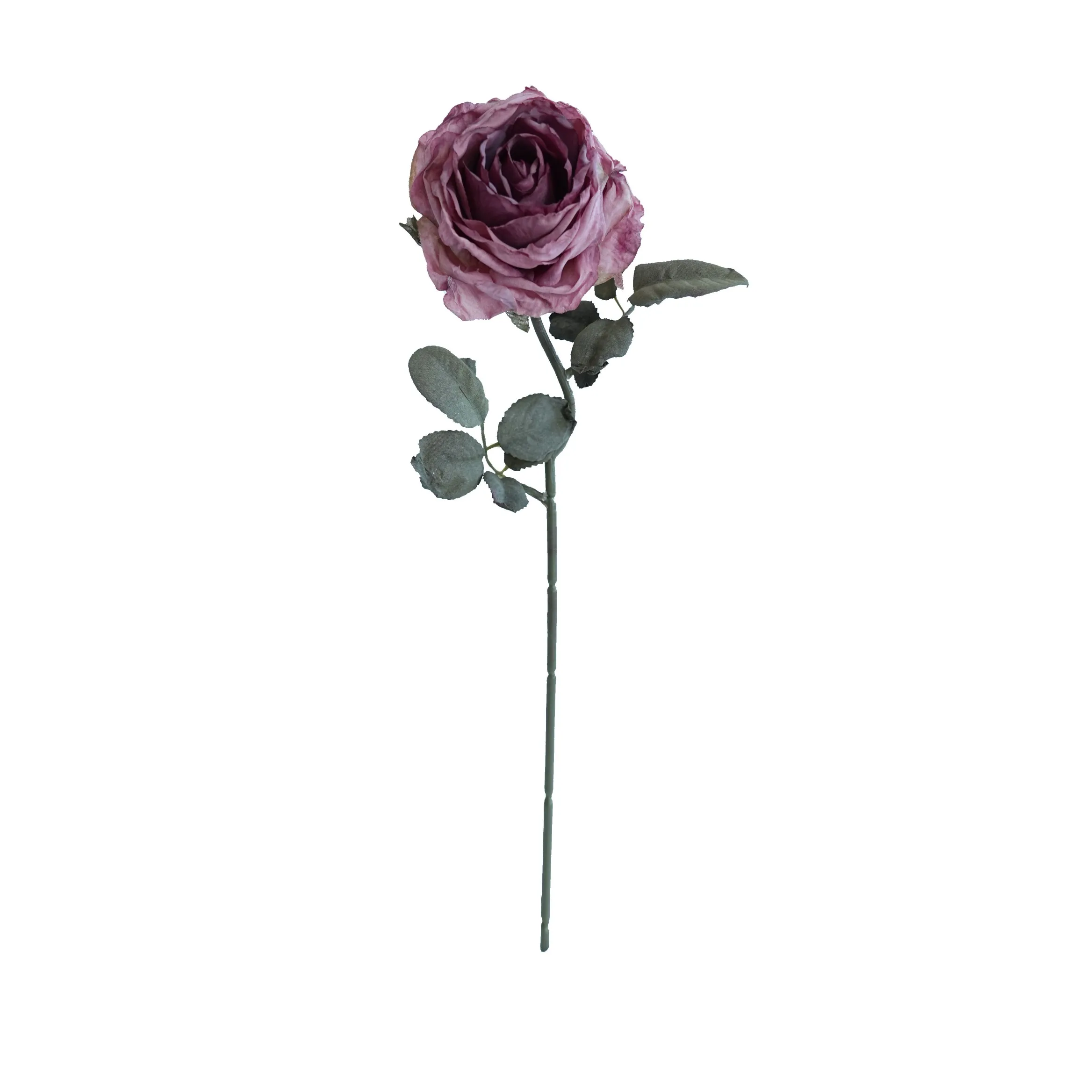 Rosas multicamadas com cor de cortiça