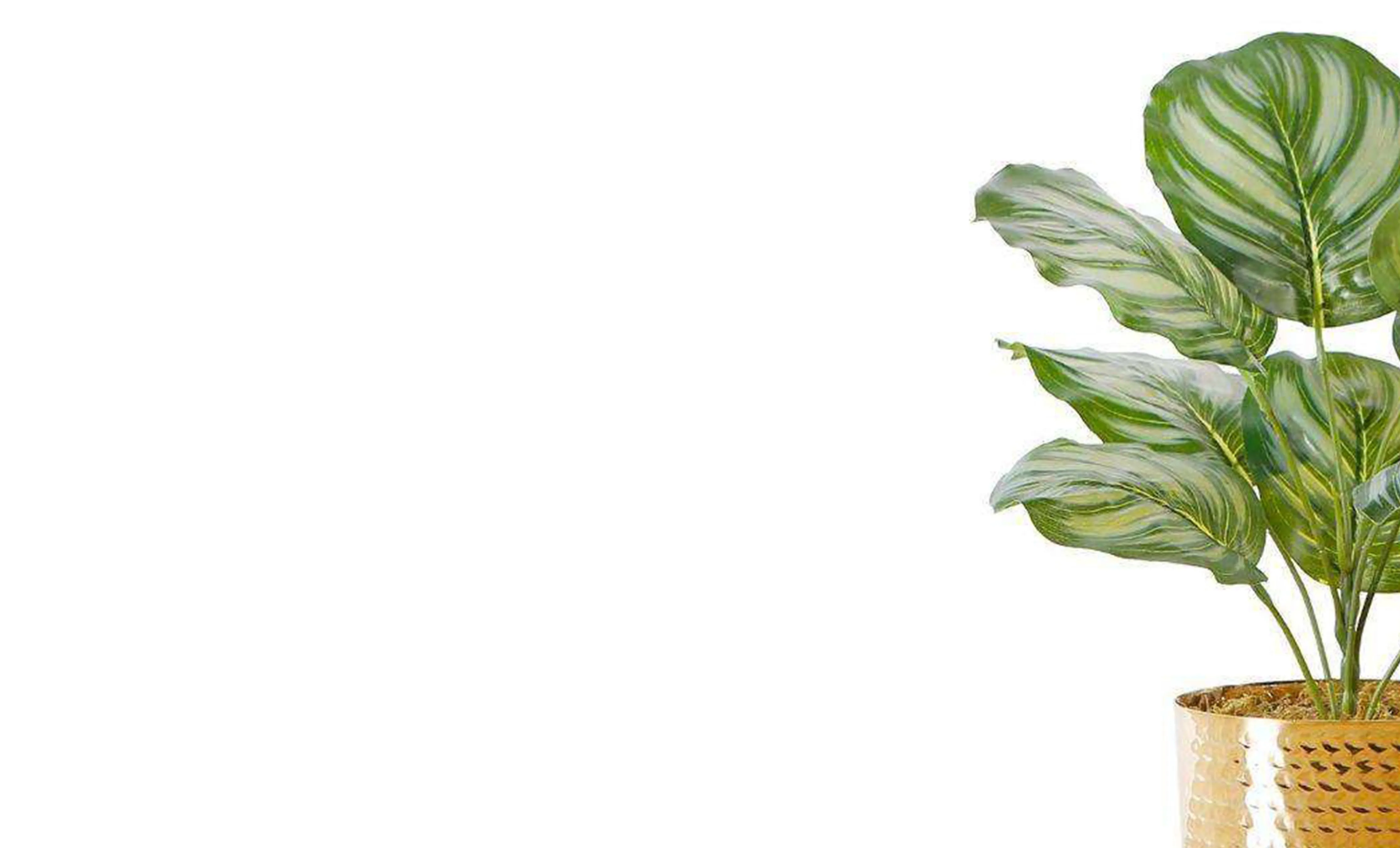 Planta verde artificial