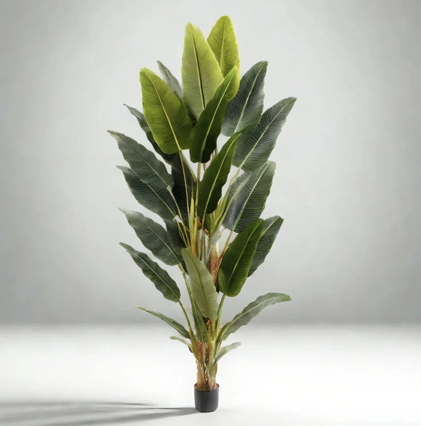 Pássura artificial sênior do paraíso Planta (múltiplos tamanhos)