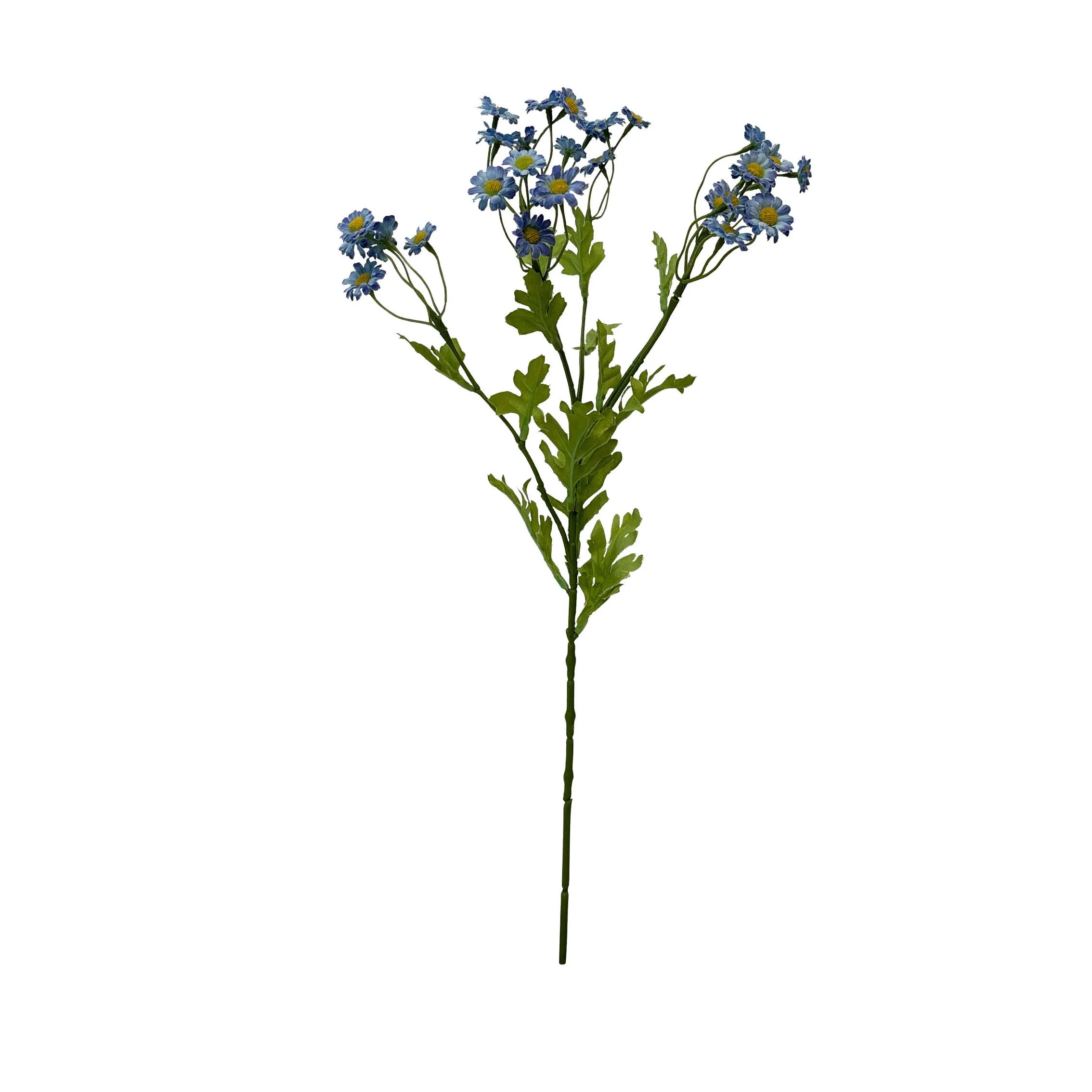 Uma única porção de Chamomile