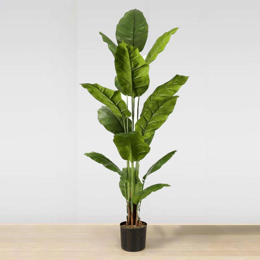 Planta artificial de folhas de folhas Spathiphyllum (múltiplos tamanhos)