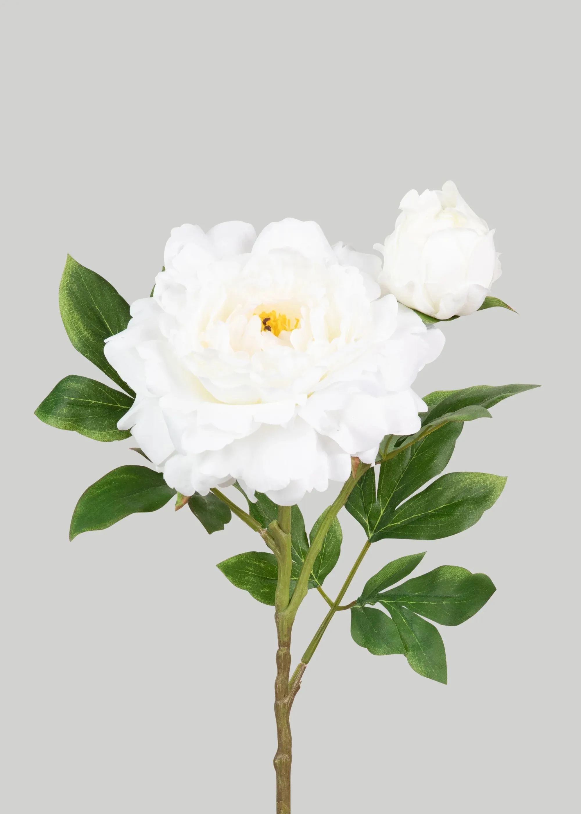 Deluxe Peony Flow Flower