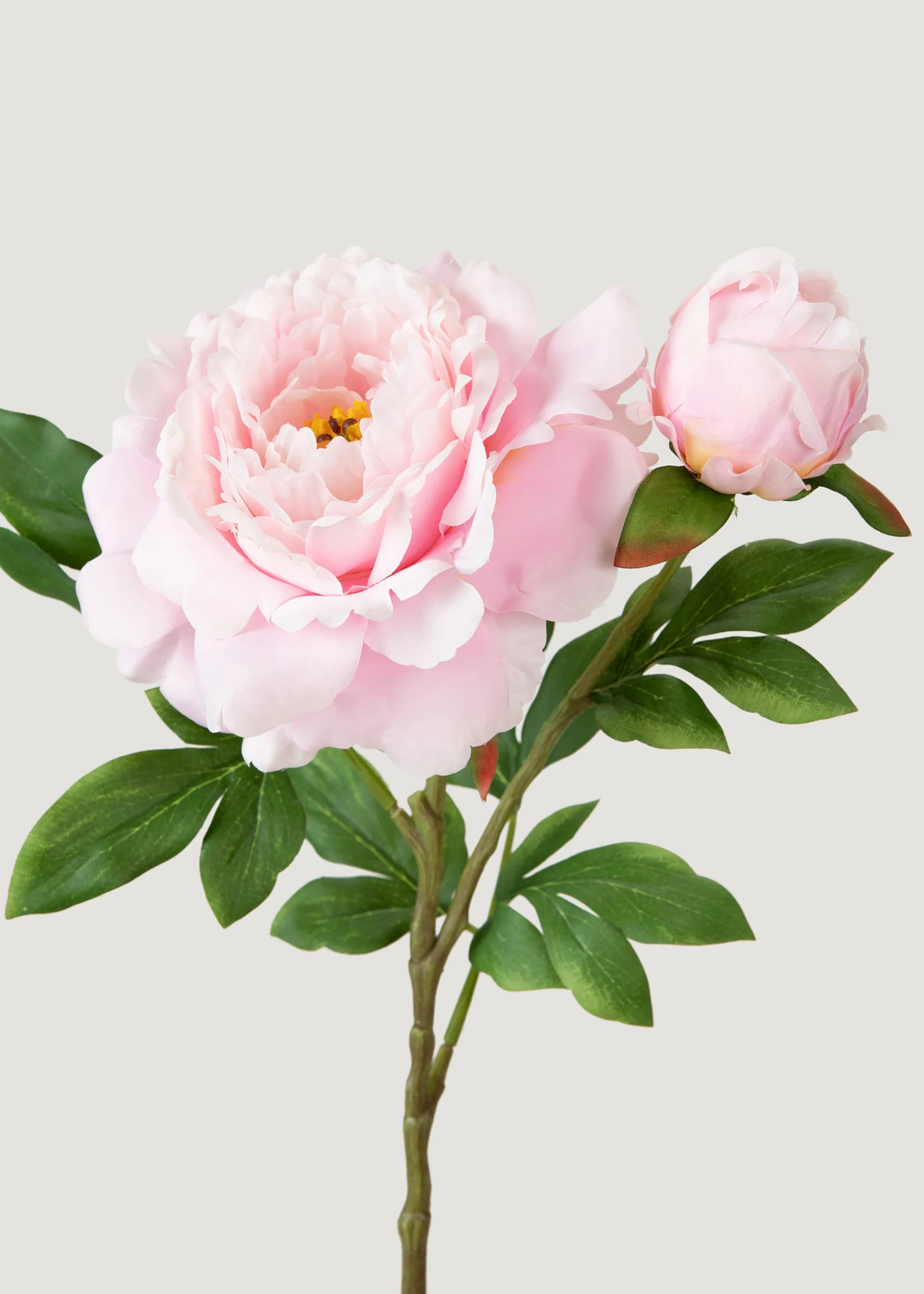 Deluxe Peony Flow Flower
