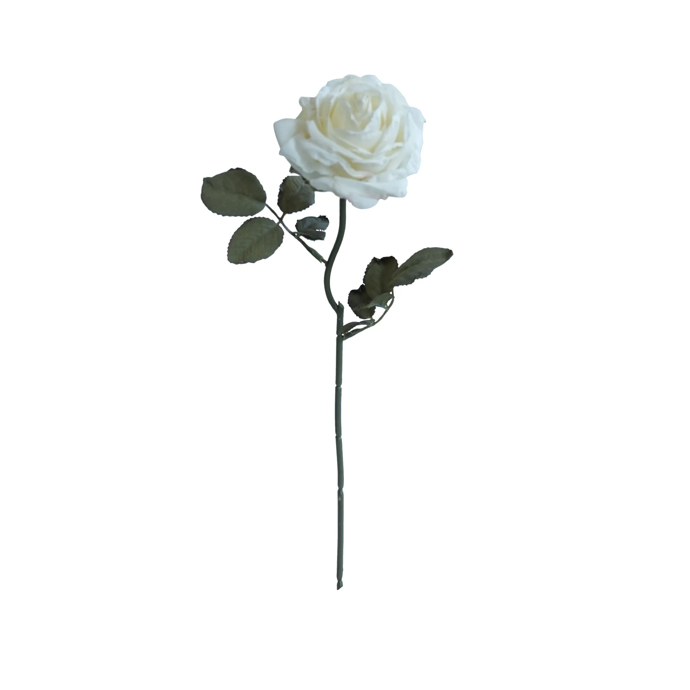 Rosas multicamadas com cor de cortiça
