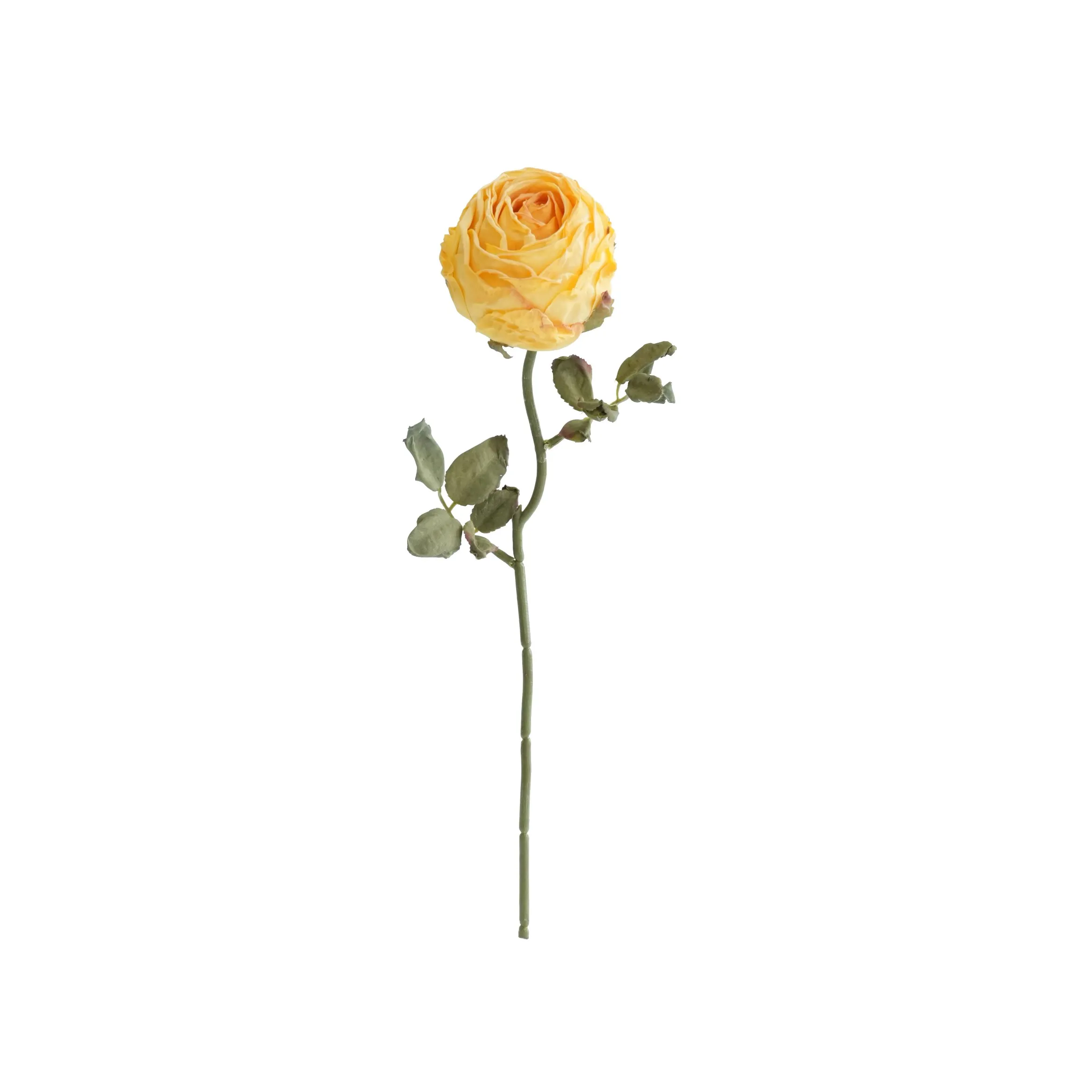 Rosas redondas picadas
