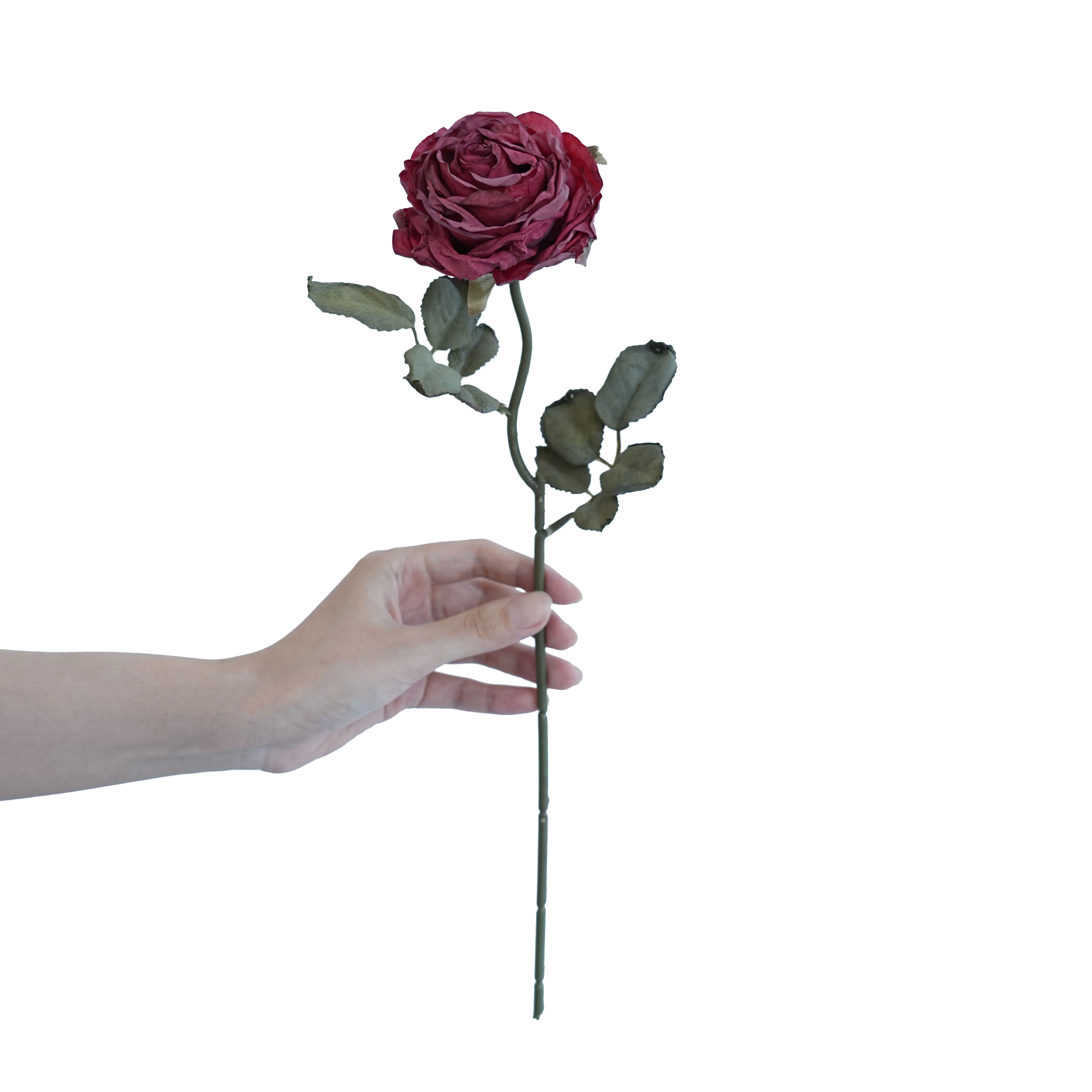 Rosas multicamadas com cor de cortiça