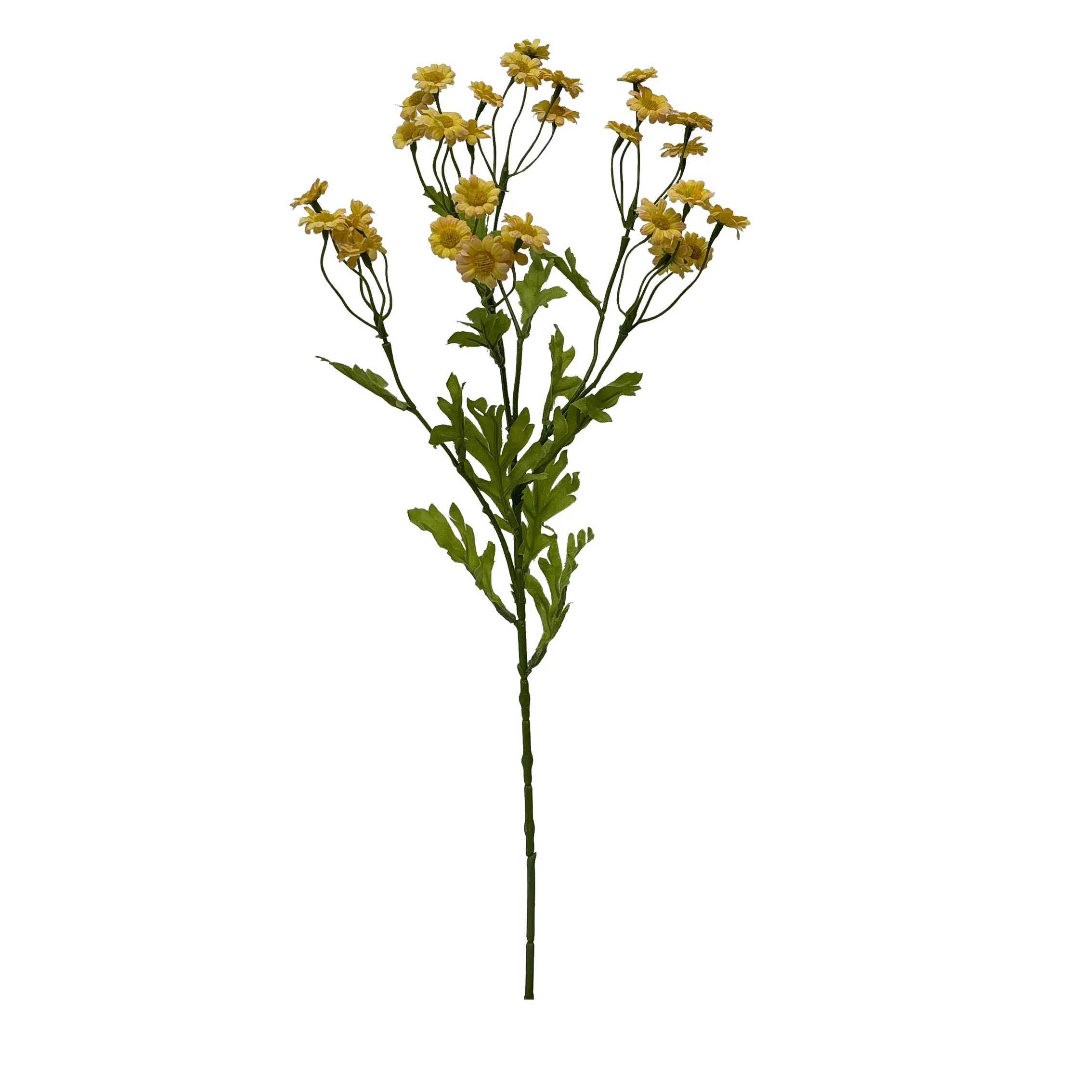 Uma única porção de Chamomile