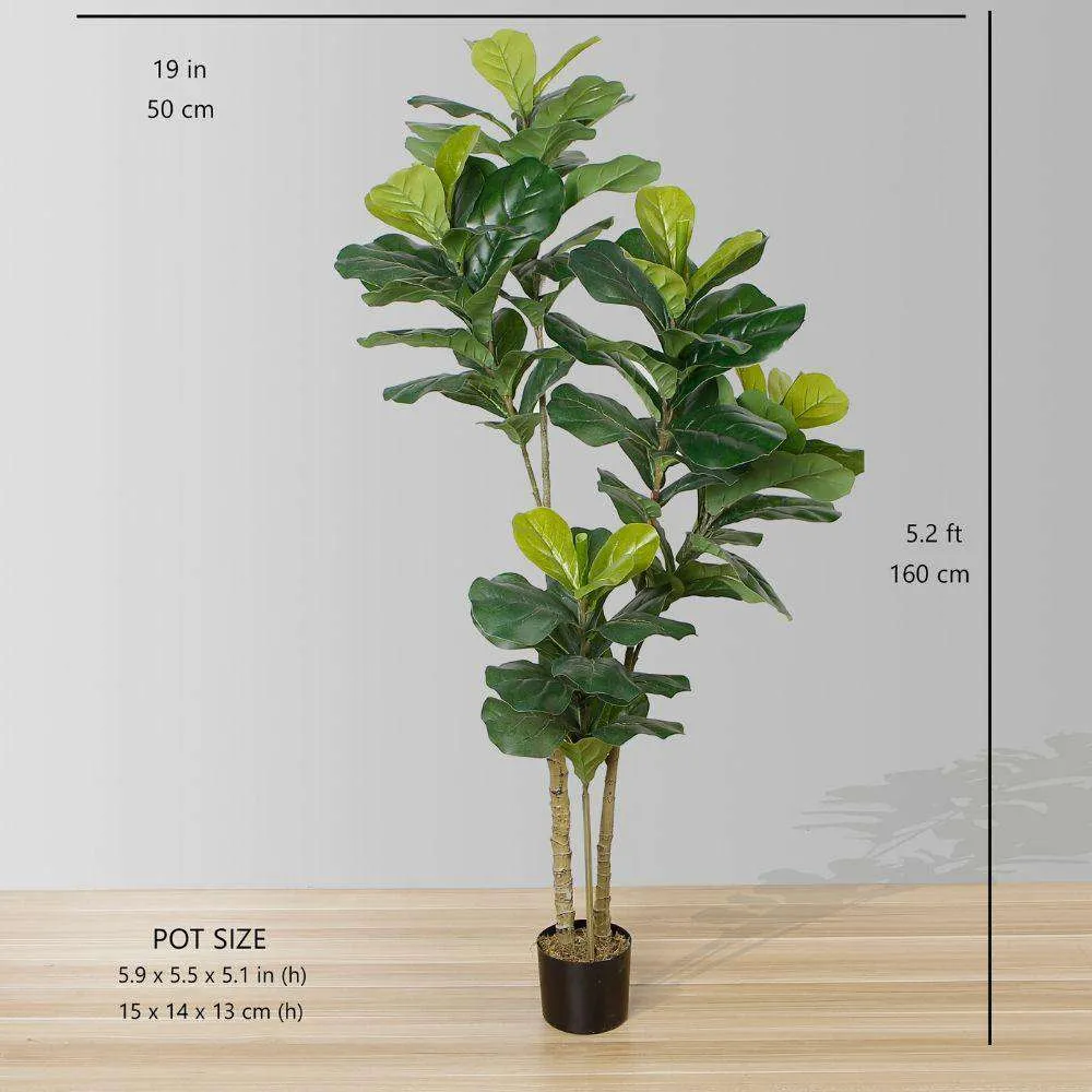 Planta rica em vasos de folhas artificiais de violino (tamanho múltiplo）