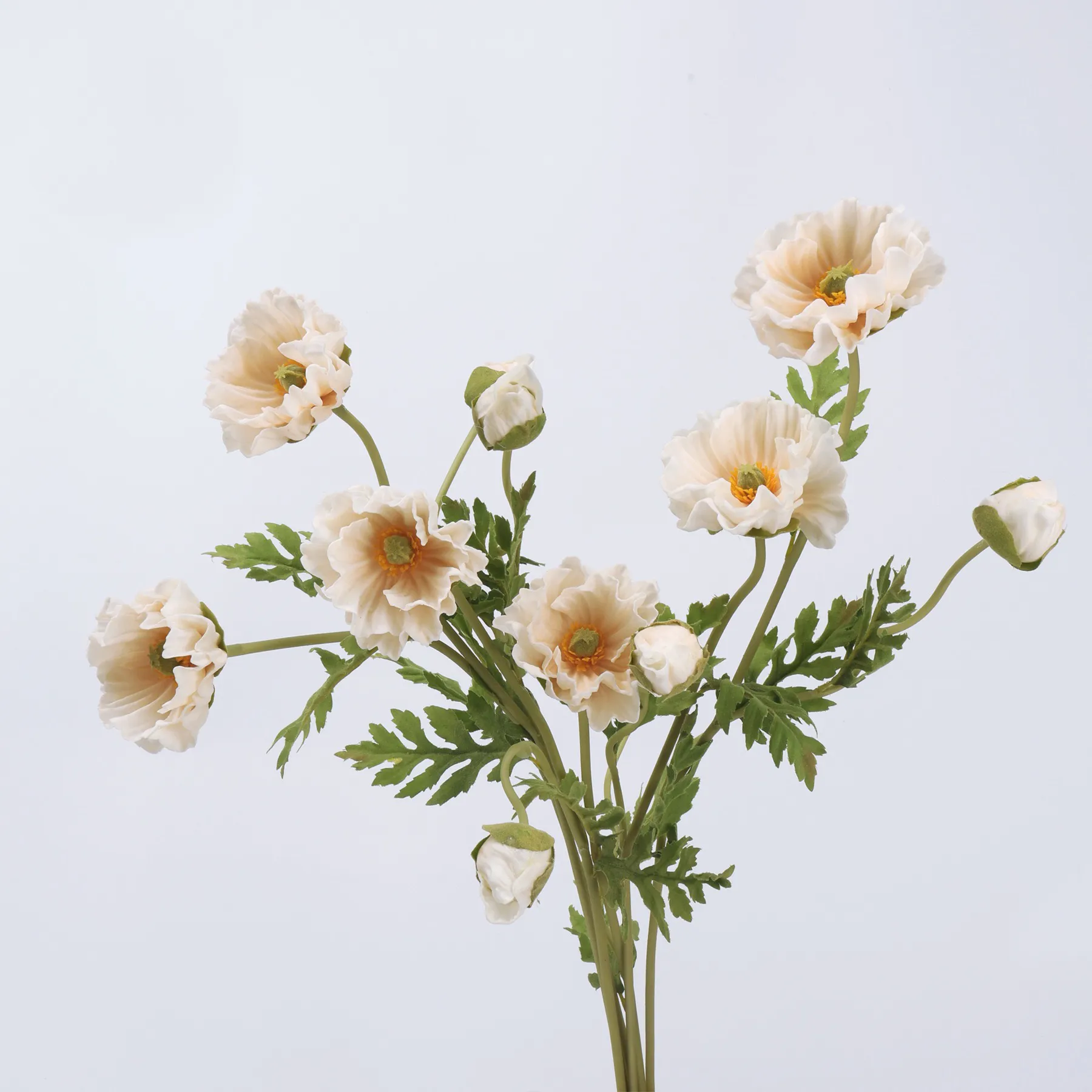 poppy de milho