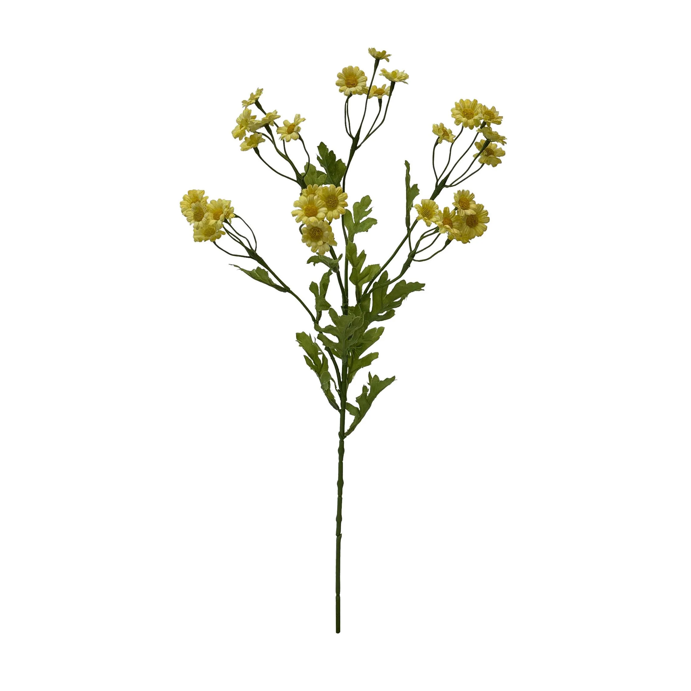 Uma única porção de Chamomile