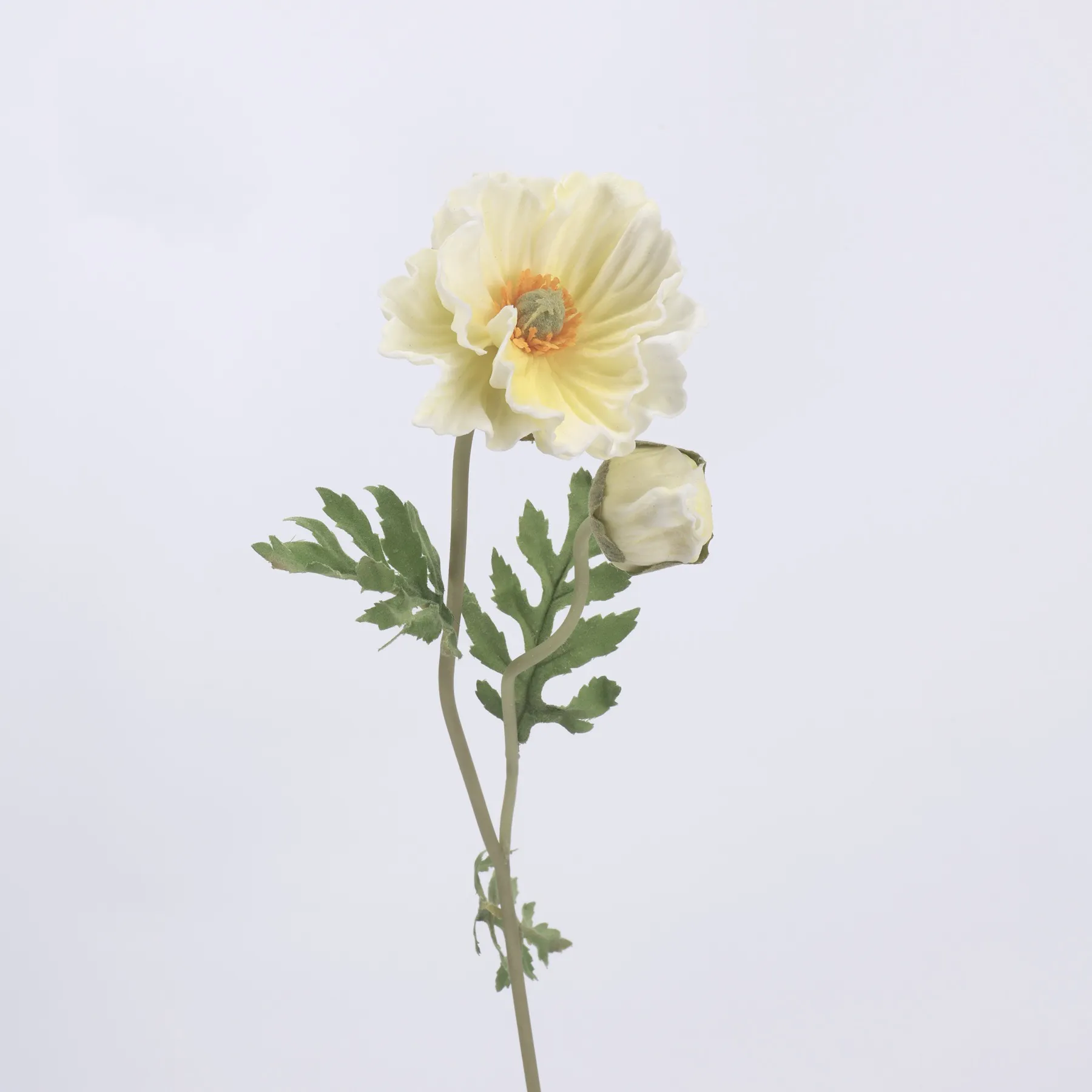 poppy de milho
