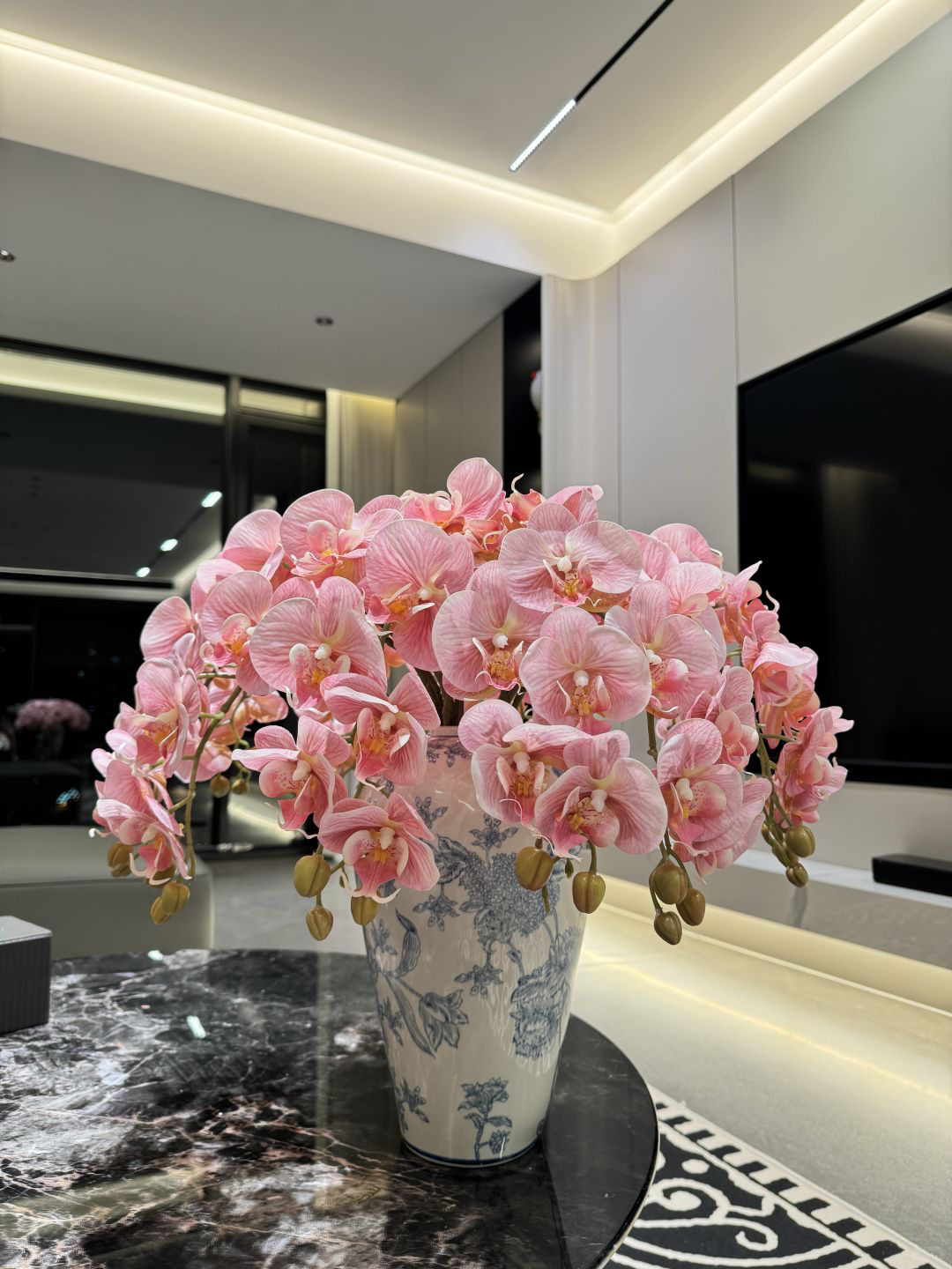 Orquídea Phalaenopsis