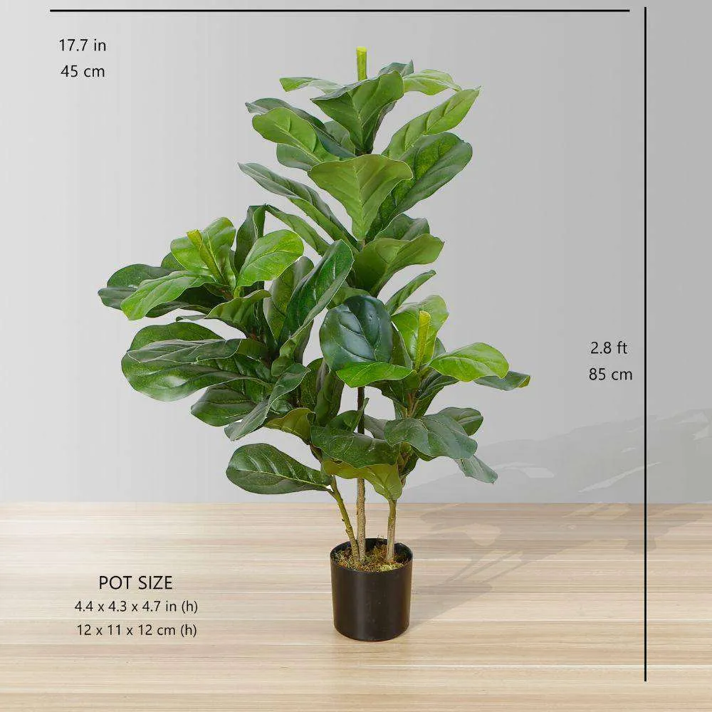 Planta rica em vasos de folhas artificiais de violino (tamanho múltiplo）