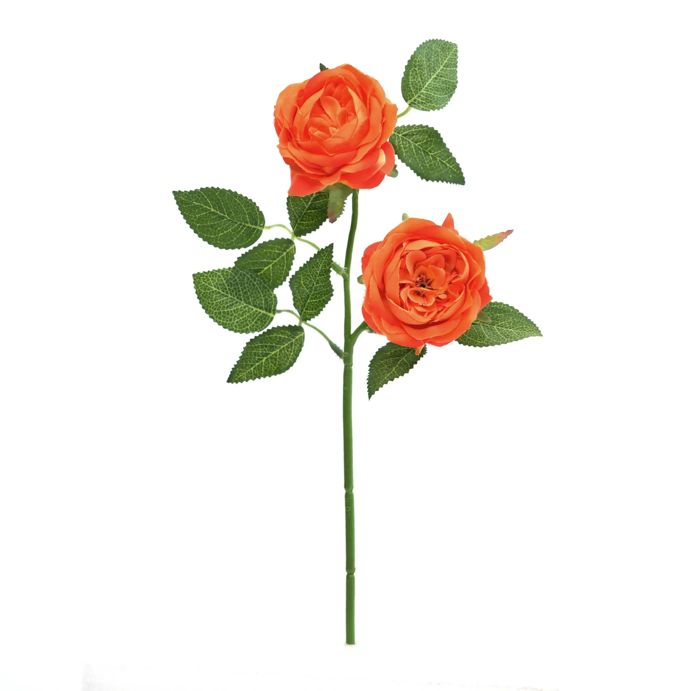 2 rosas