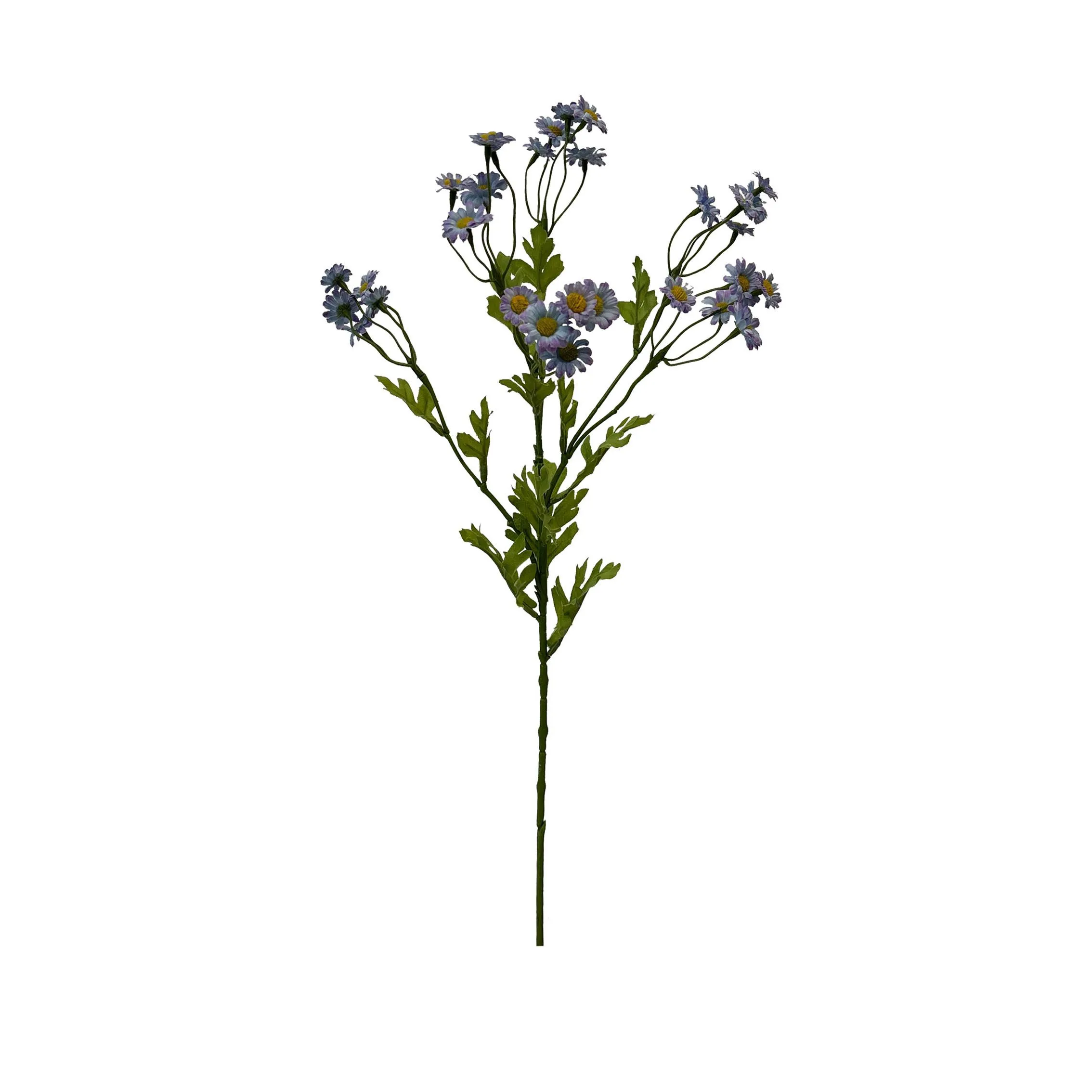 Uma única porção de Chamomile