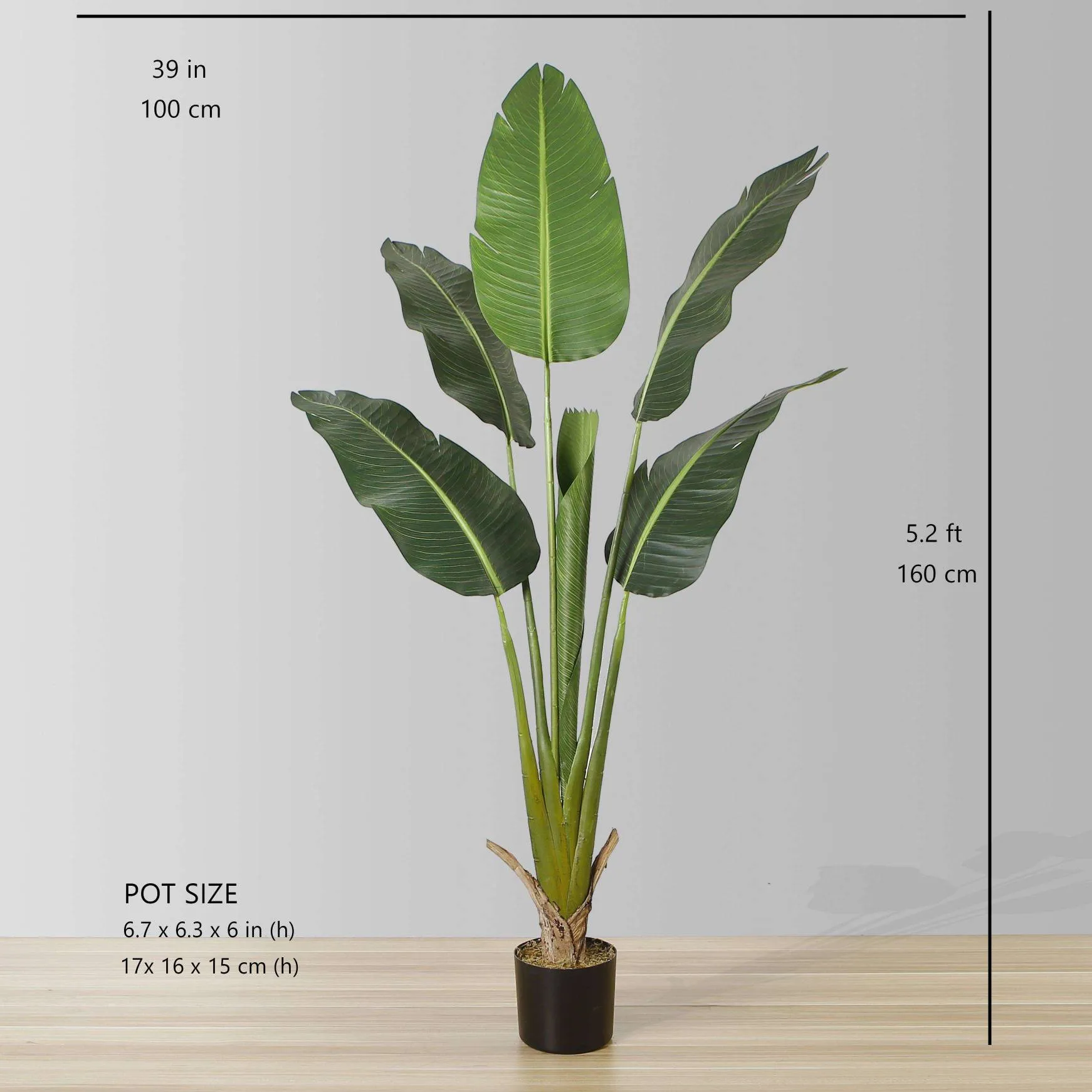 Pássura artificial sênior do paraíso Planta (múltiplos tamanhos)