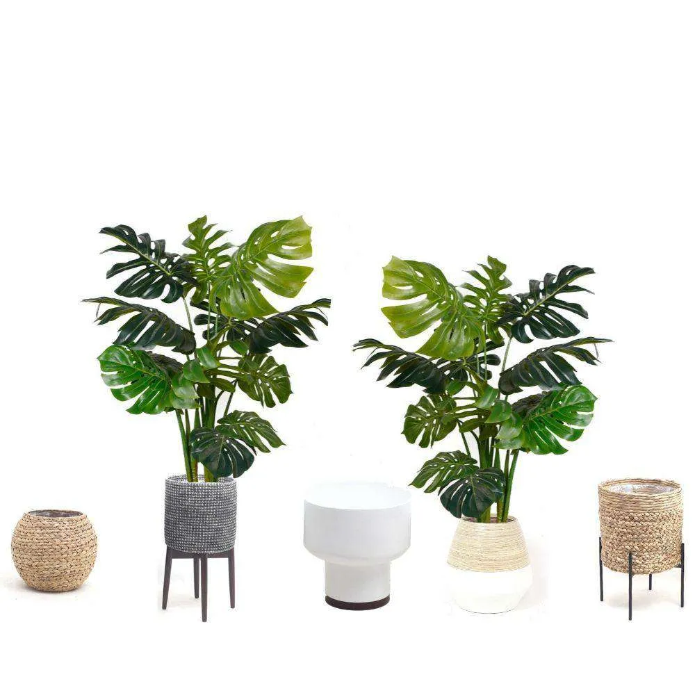 Amber Artificial Monstera Past 45