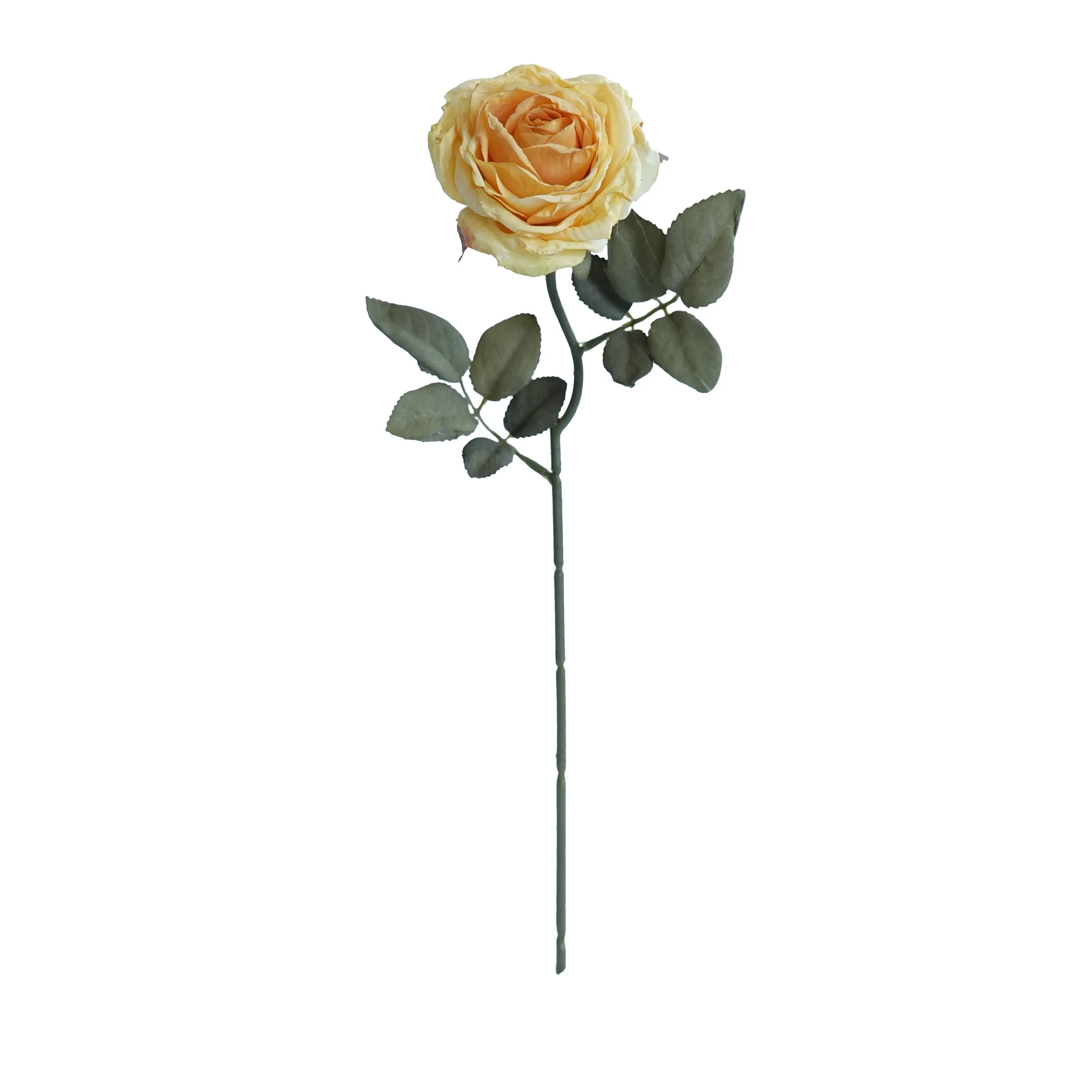 Rosas multicamadas com cor de cortiça