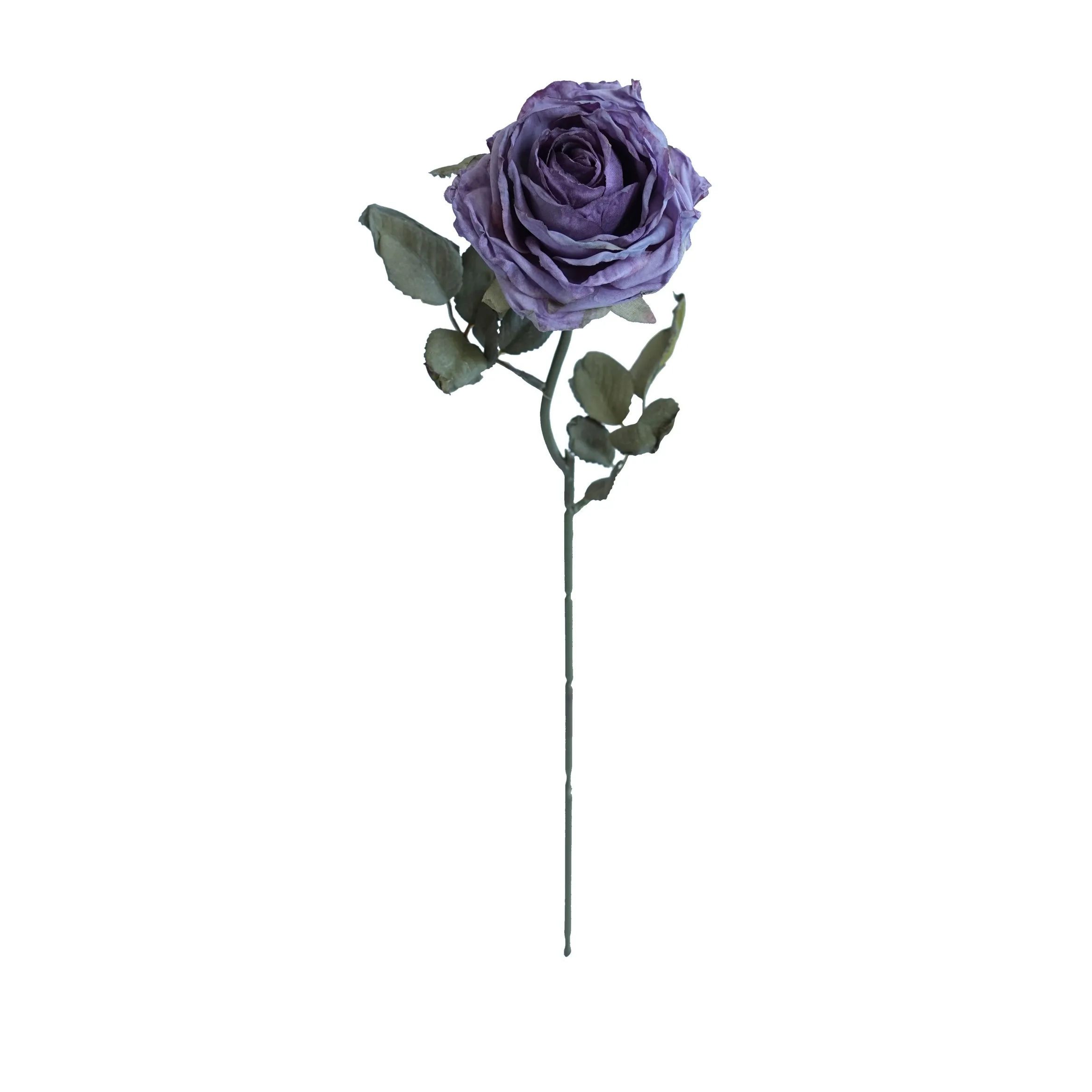 Rosas multicamadas com cor de cortiça