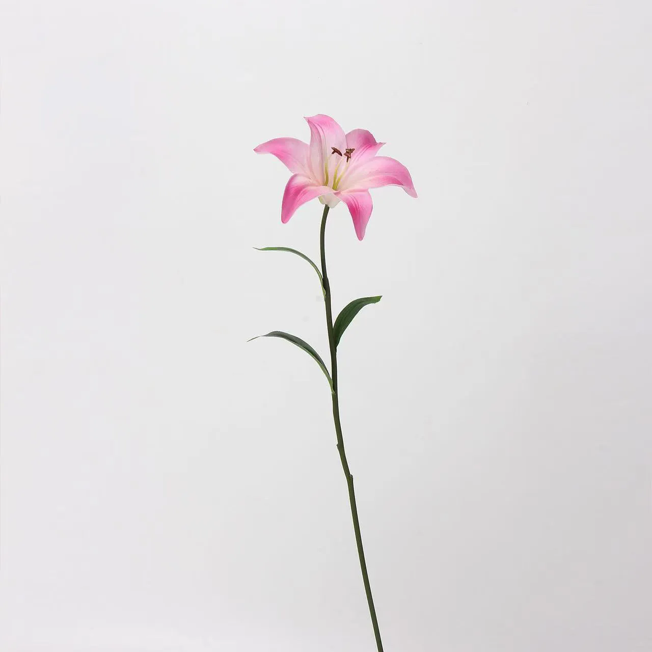 Flor da simulação de impressão 3D: hardware como um verdadeiro reflexo da força da fábrica