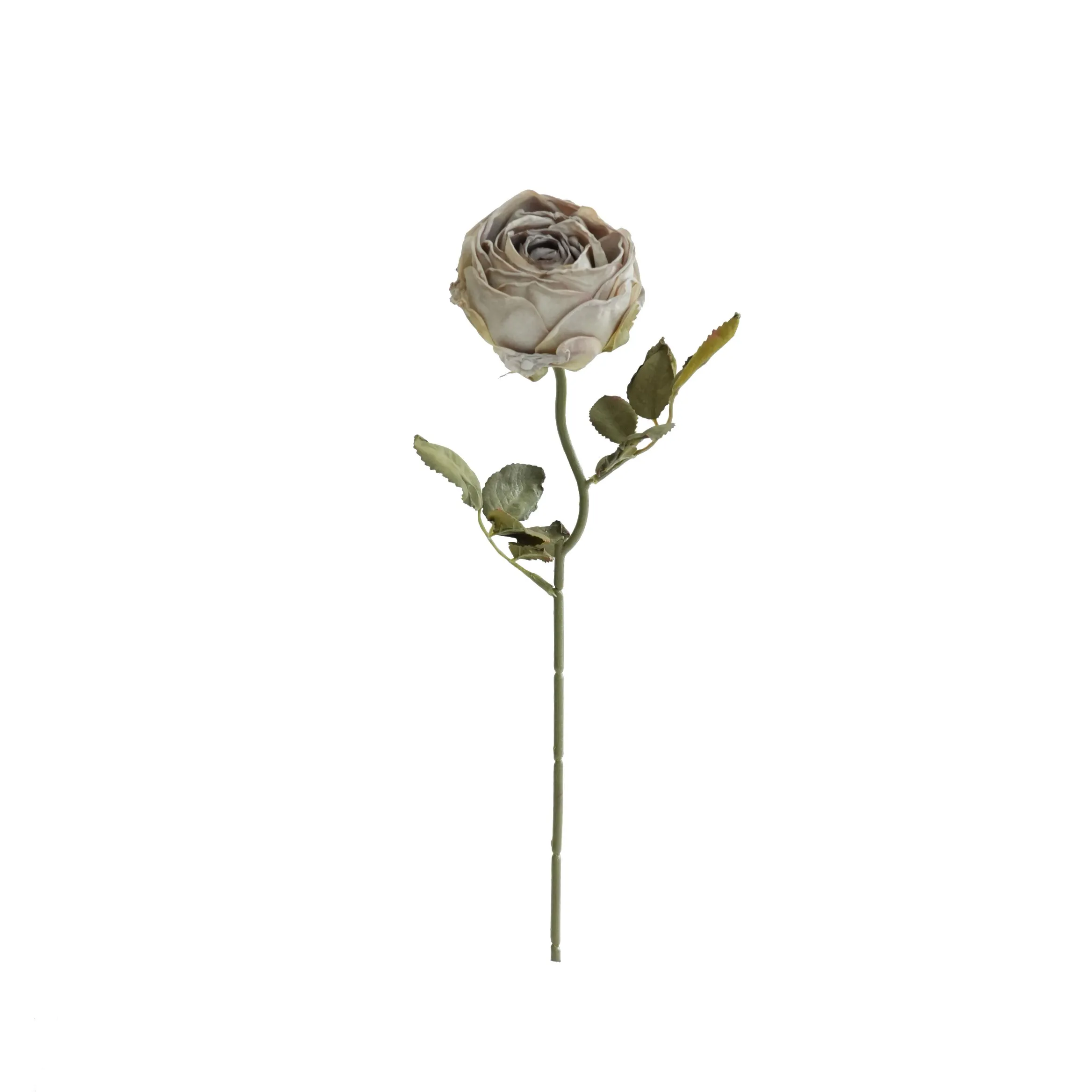Rosas redondas picadas