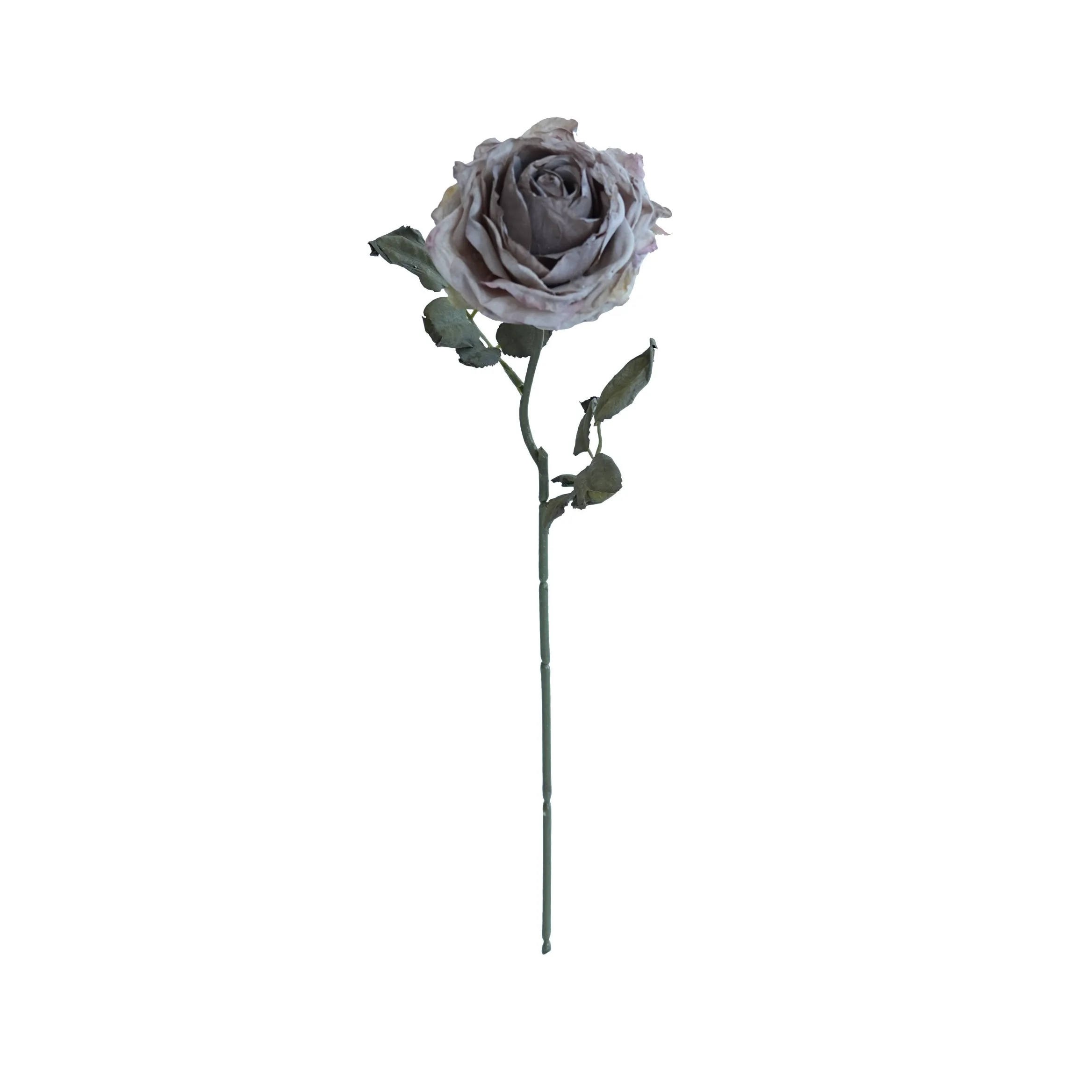 Rosas multicamadas com cor de cortiça