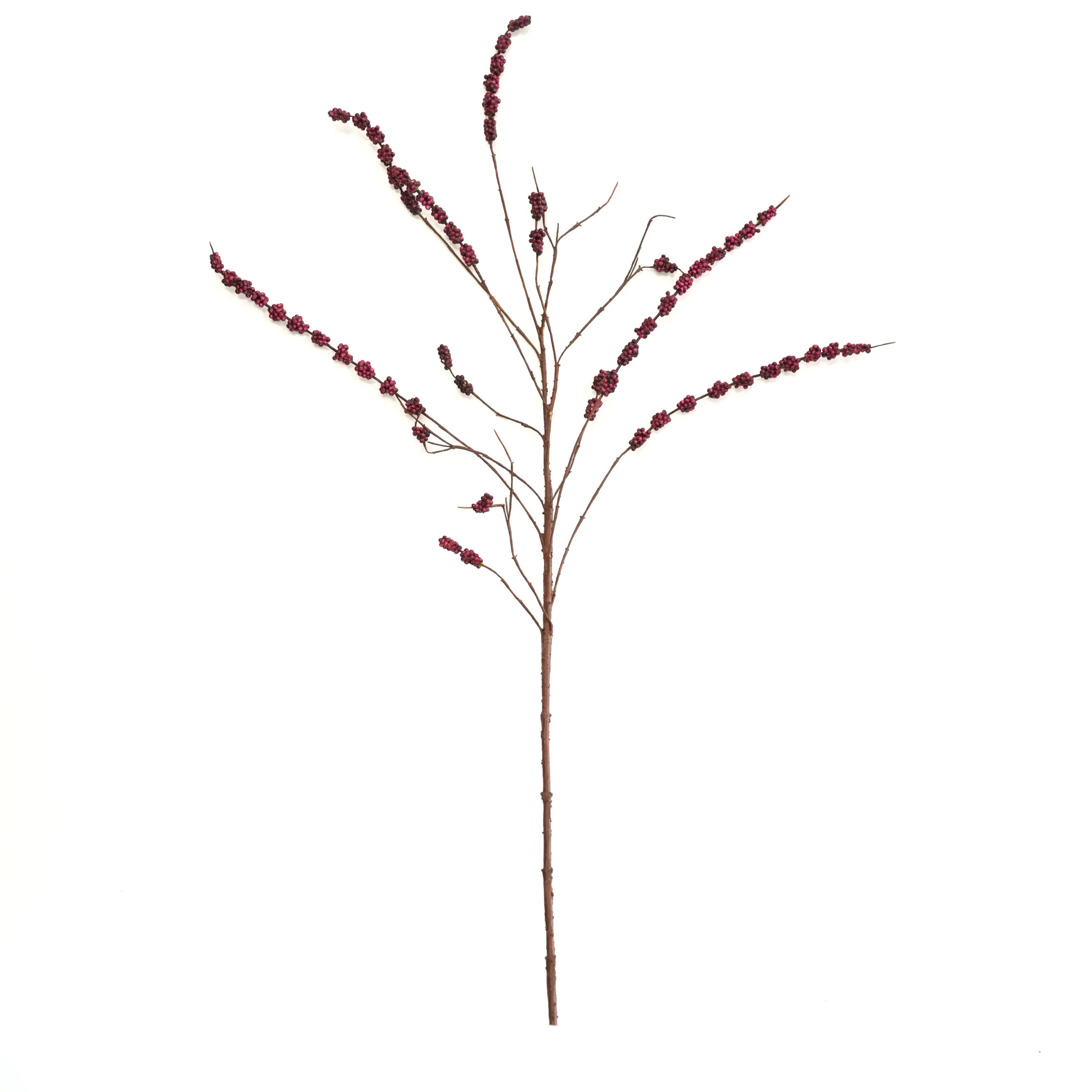 Frutas de amoreira altas