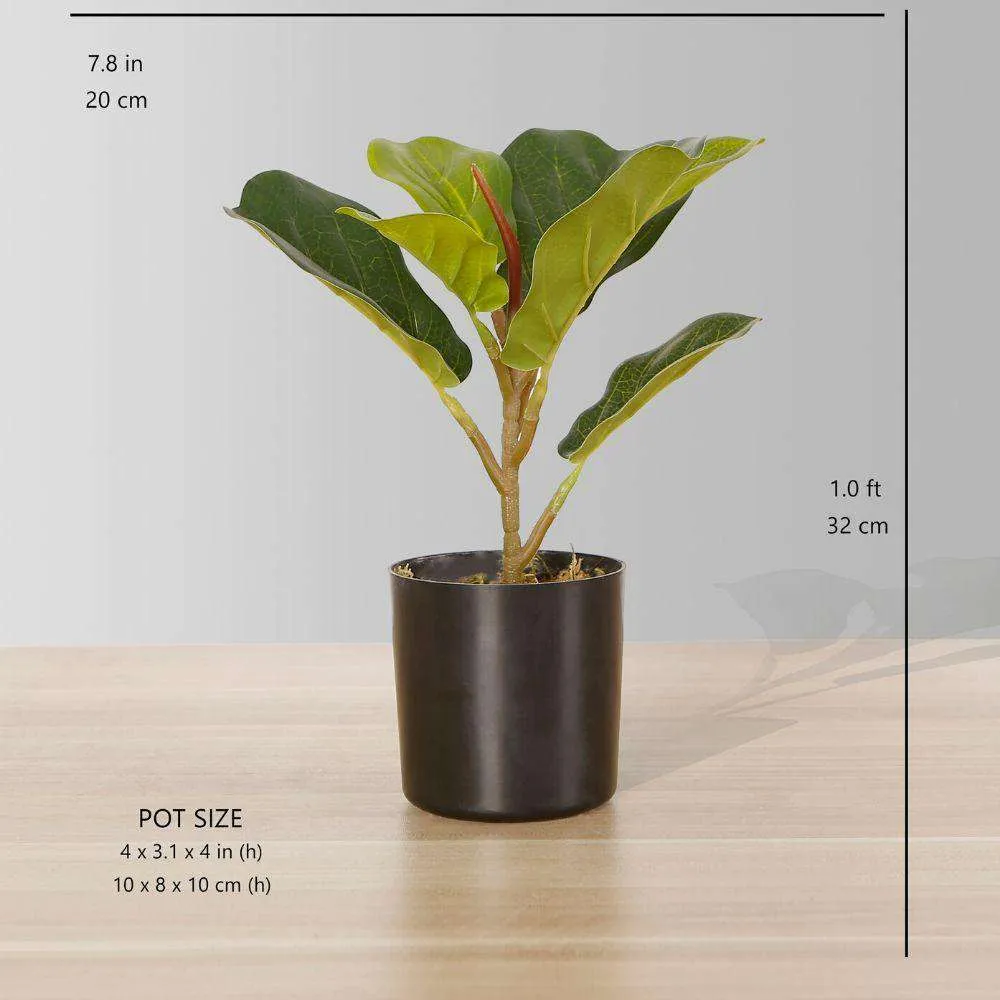 Planta rica em vasos de folhas artificiais de violino (tamanho múltiplo）