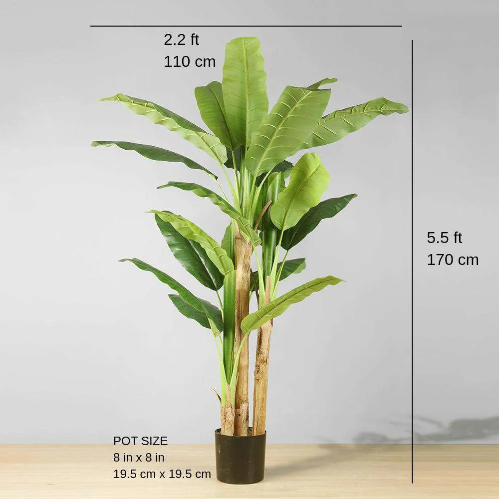 Anna Artificial Banana Tree em vasos de árvore