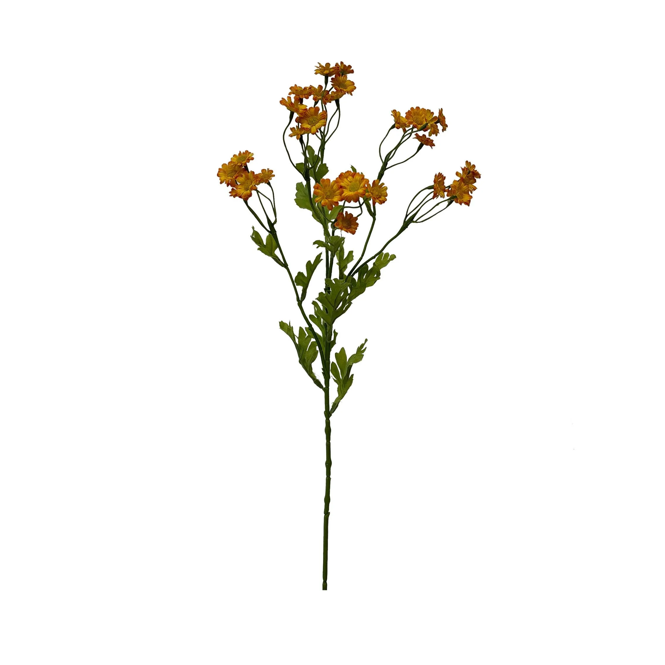 Uma única porção de Chamomile