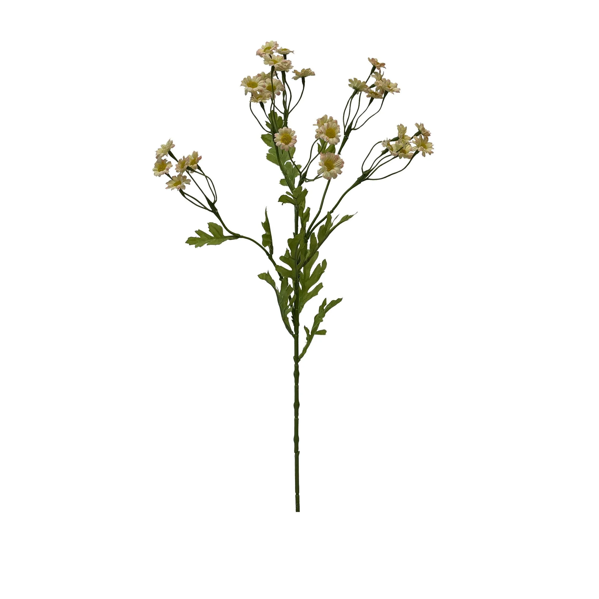 Uma única porção de Chamomile