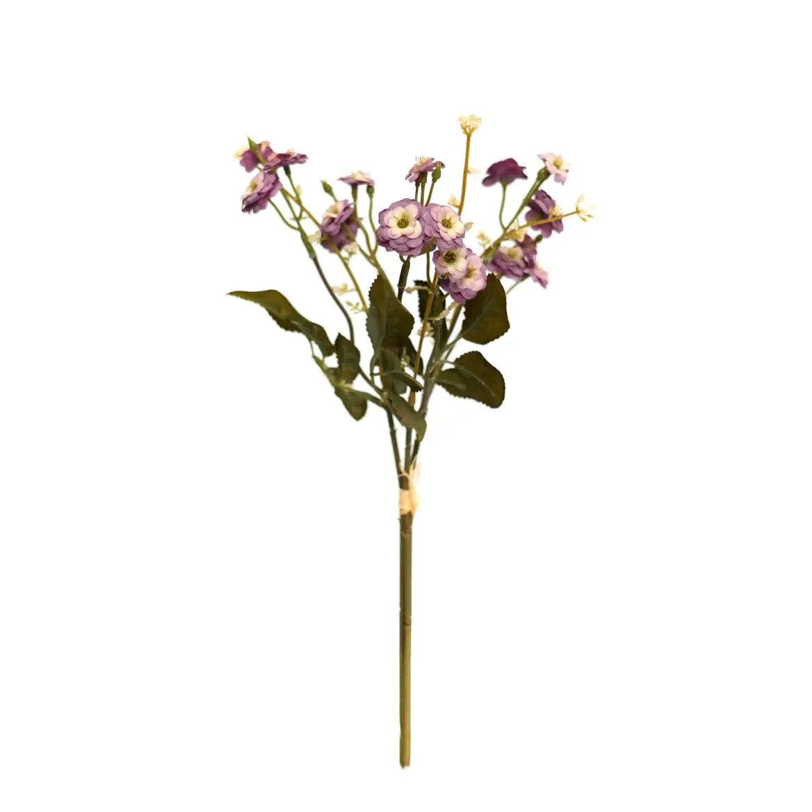 pequenas rosas