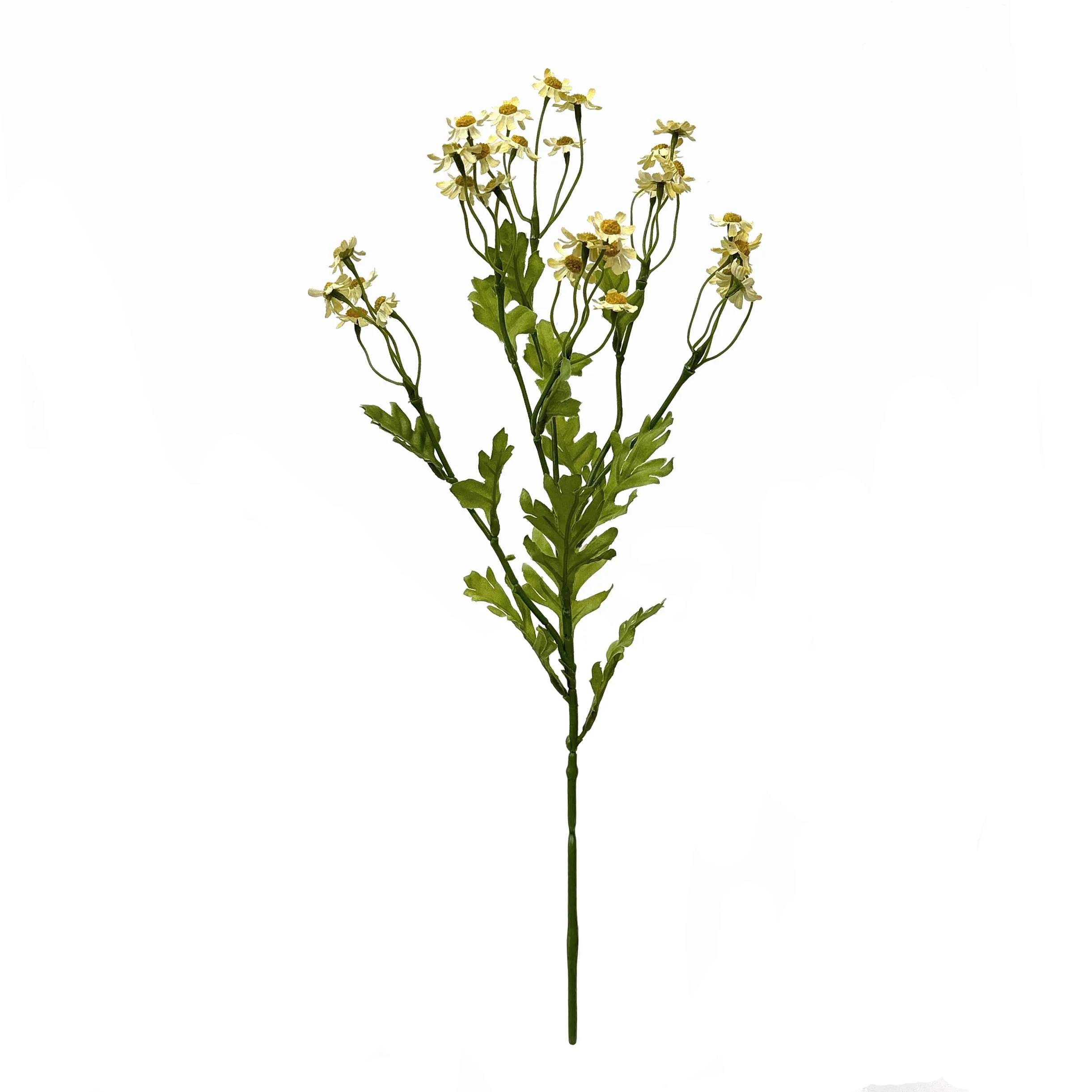 Uma pequena margarida